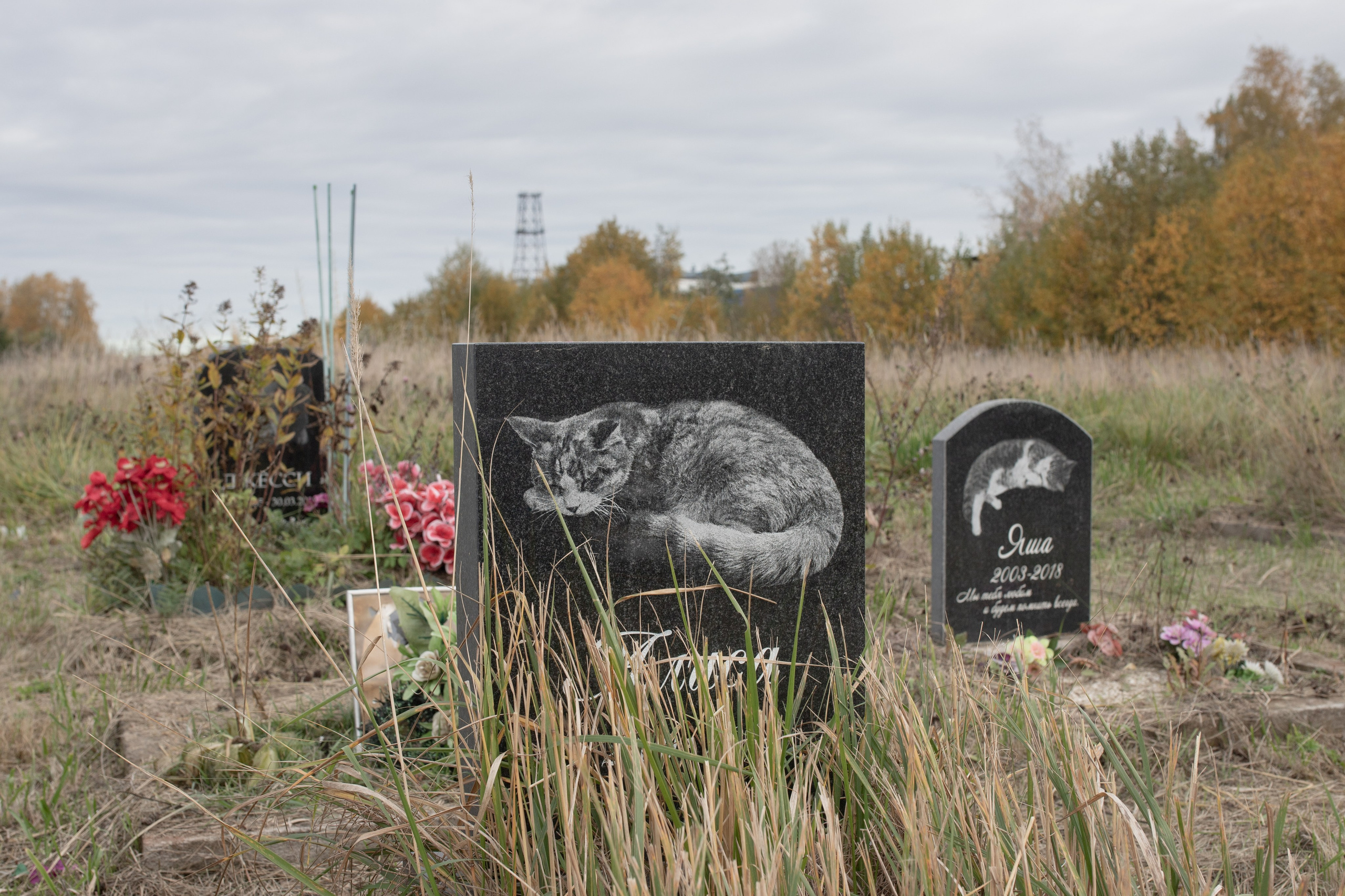 Пустота имеет место. Главная