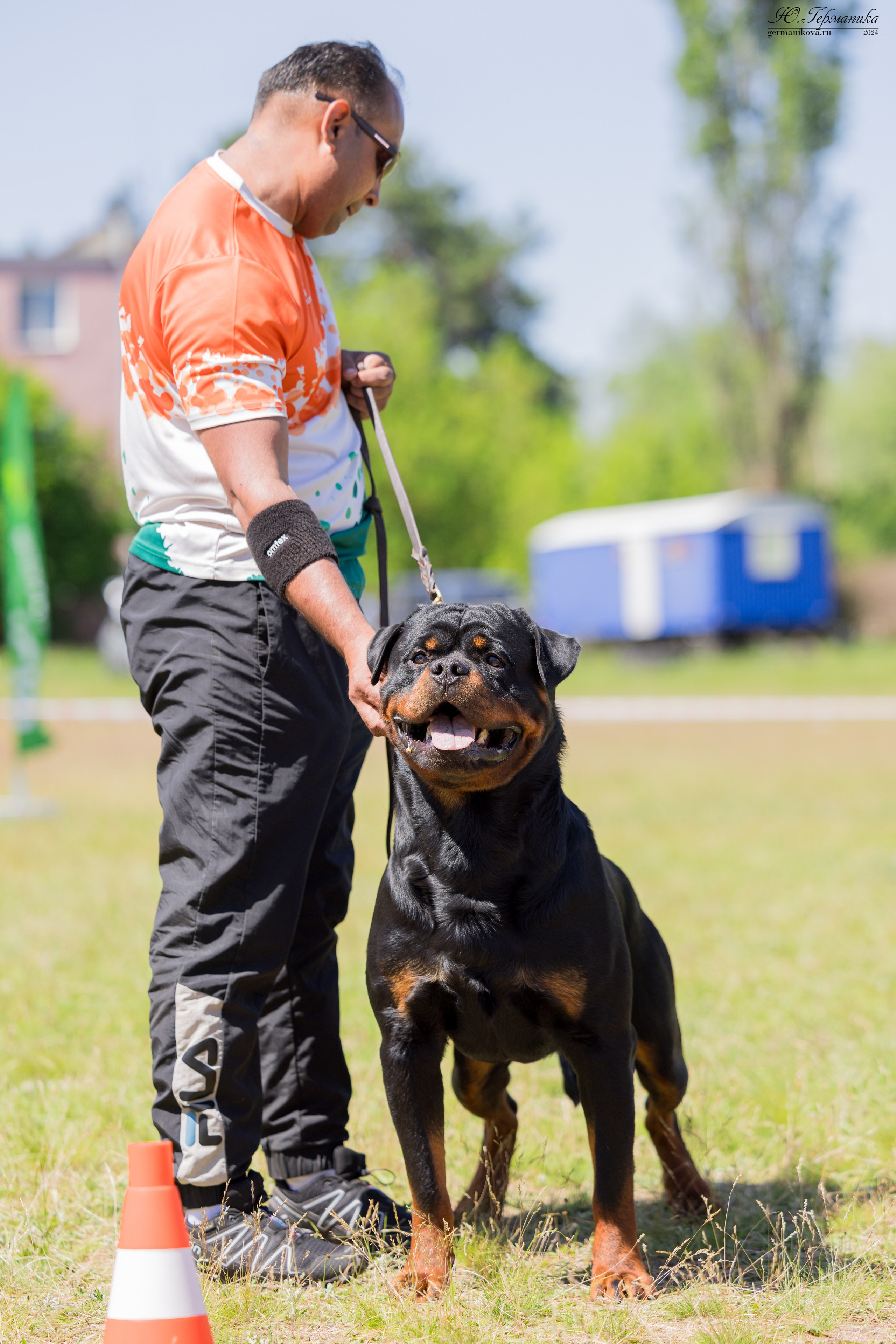 Воронеж моно ротвейлеров 25-26.05.2024. Фотограф-анималист Юлия Германика