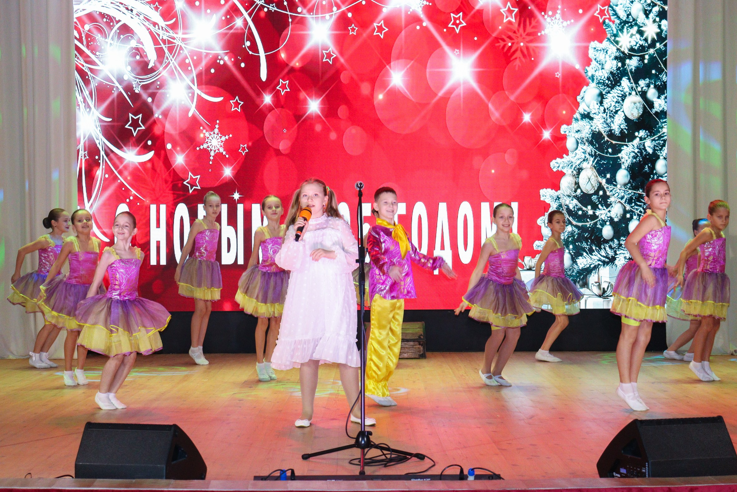 Новогодний концерт Шишли-Мышли