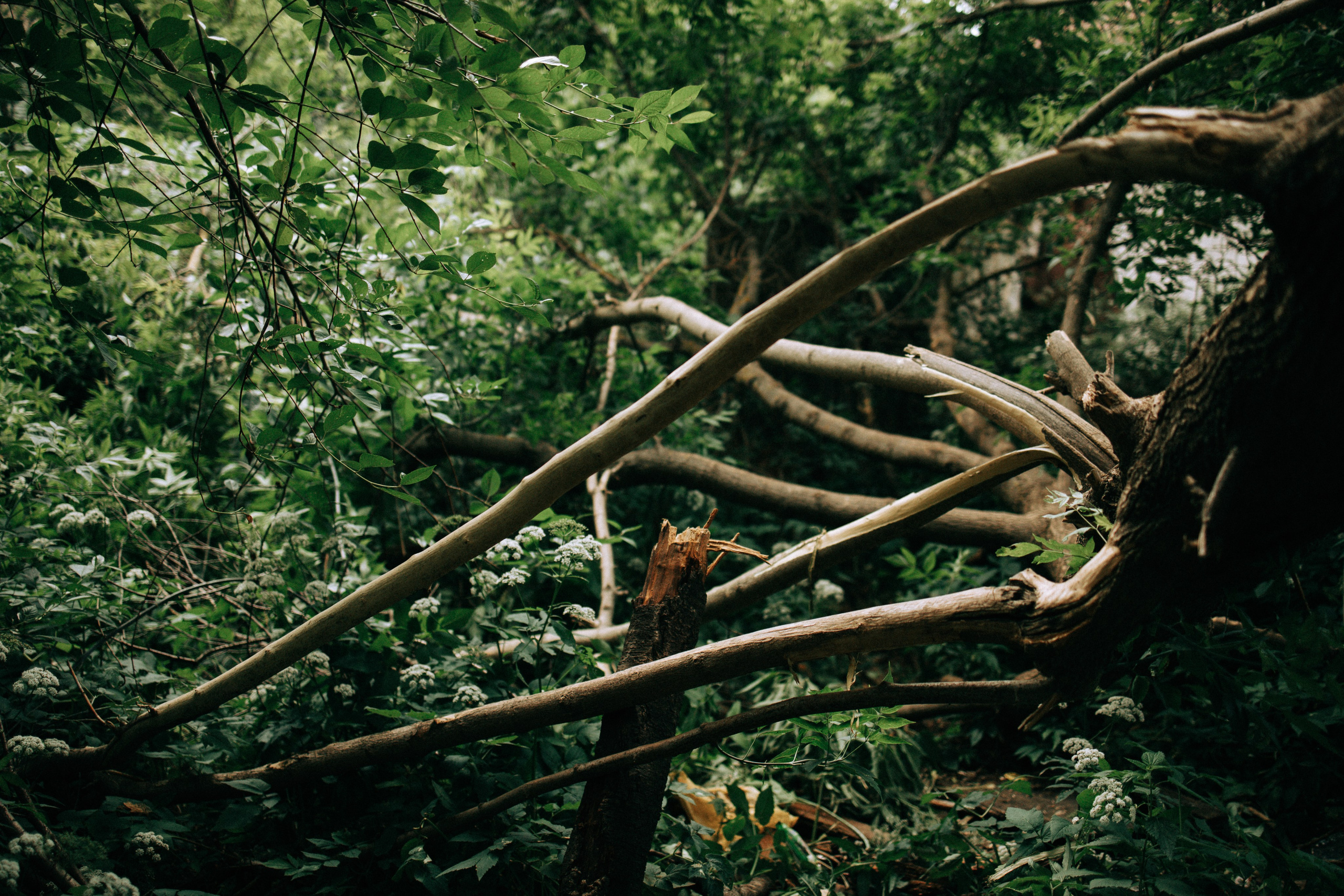 Прогулка по Криволучью. Свадебный и семейный фотограф в Туле и области Маша Костина