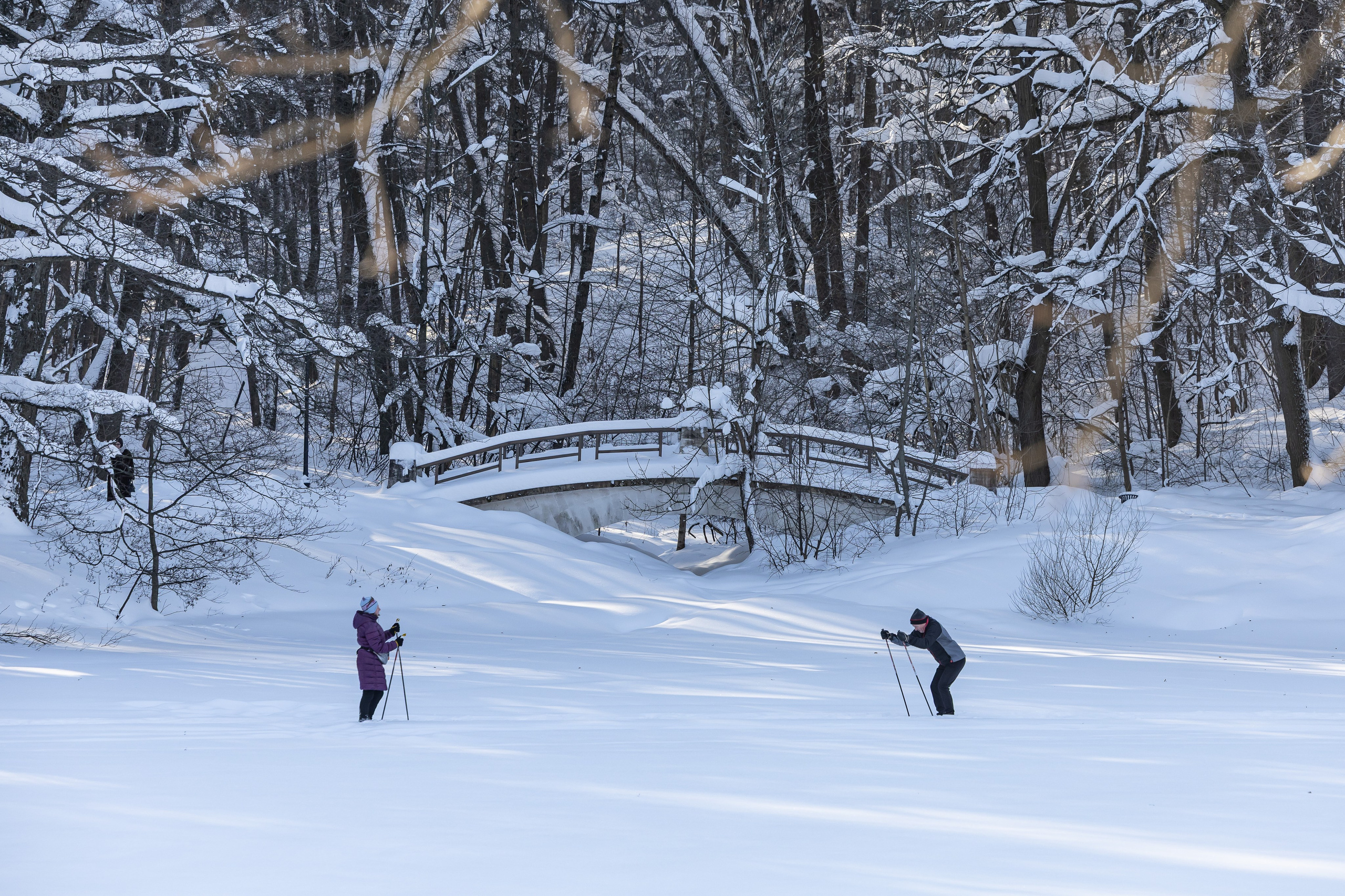 Природа. Фотограф Владимир Охрименко