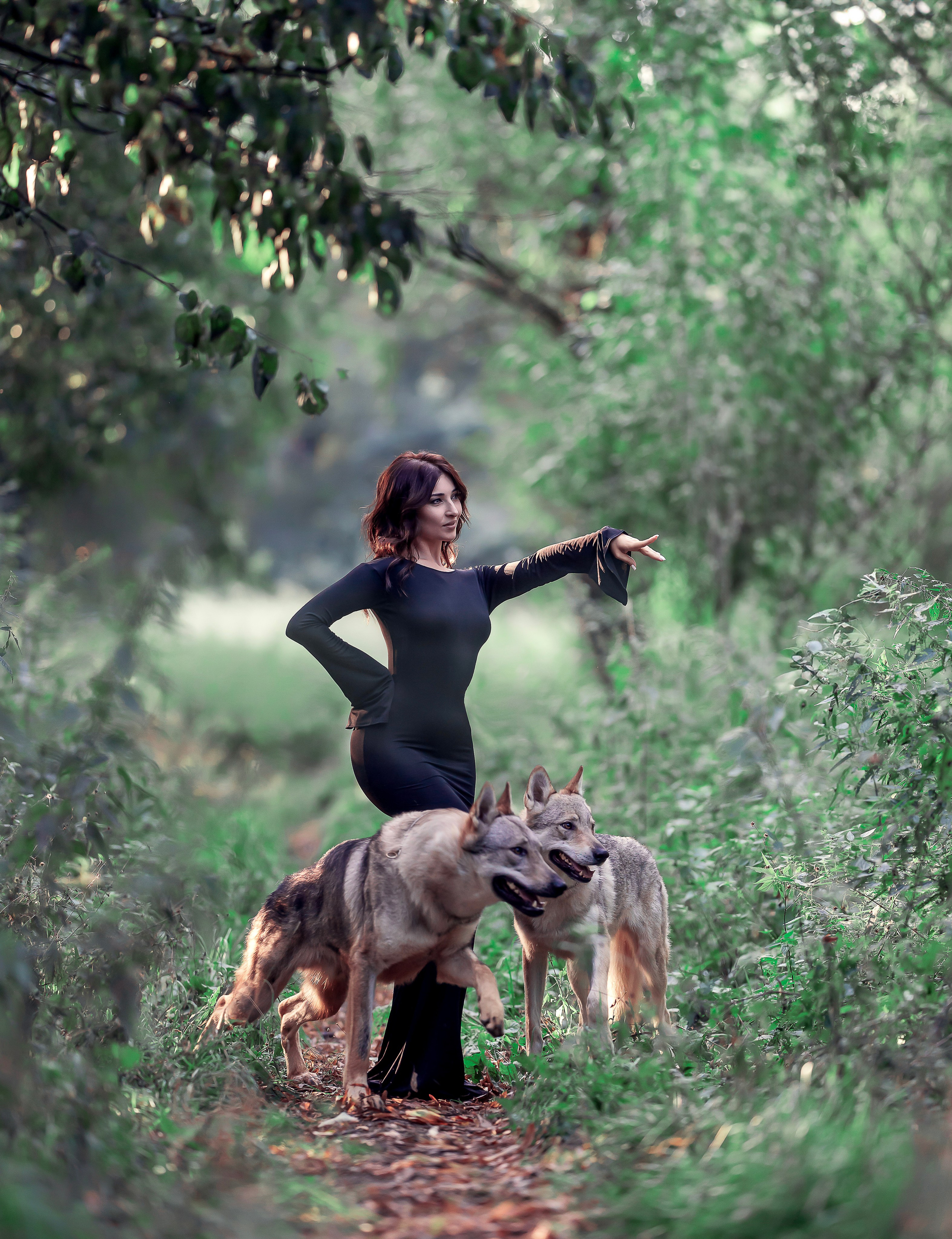 Волки. Профессиональный фотограф в Москве Марина Григорьева