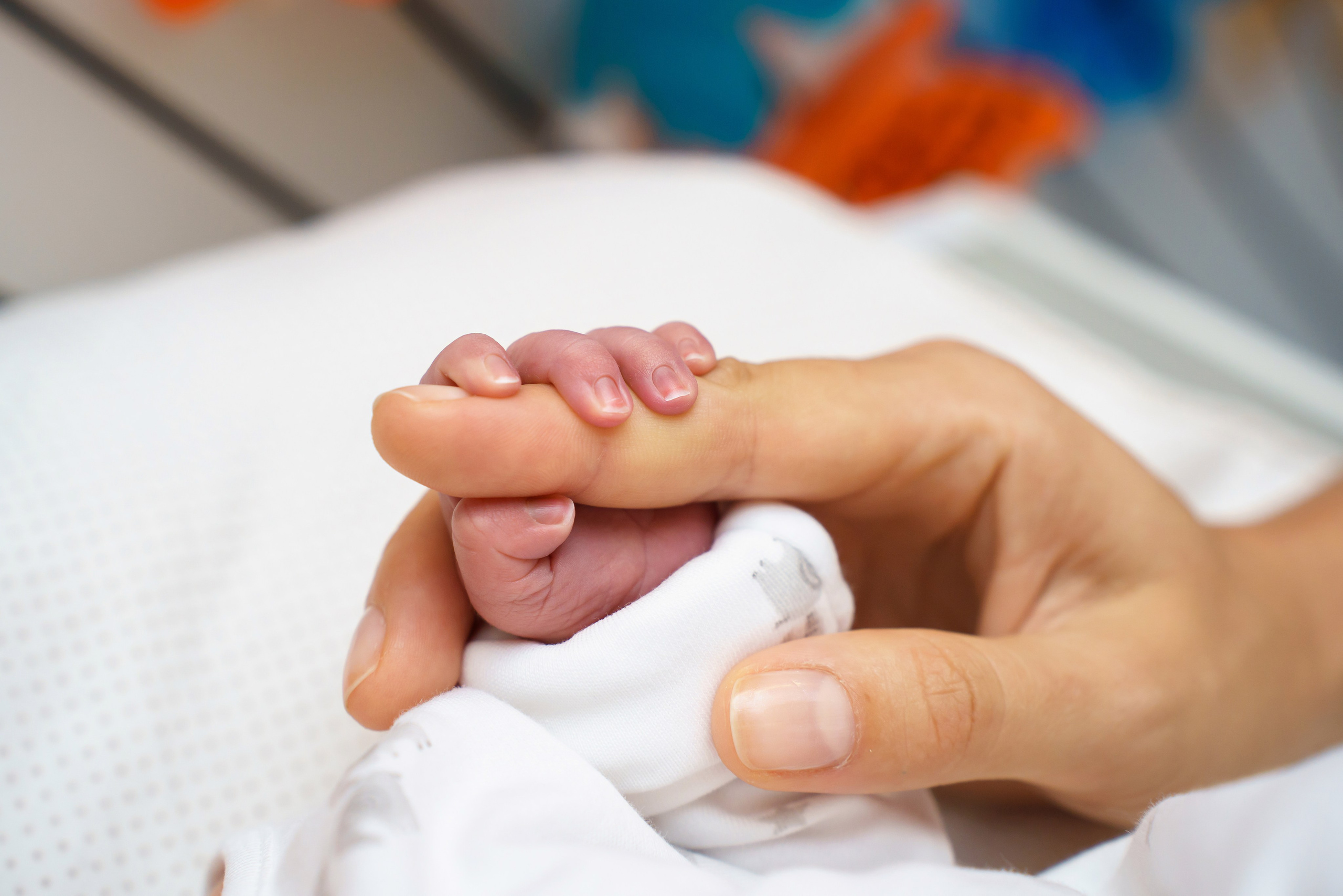 Скандинавия. Главная