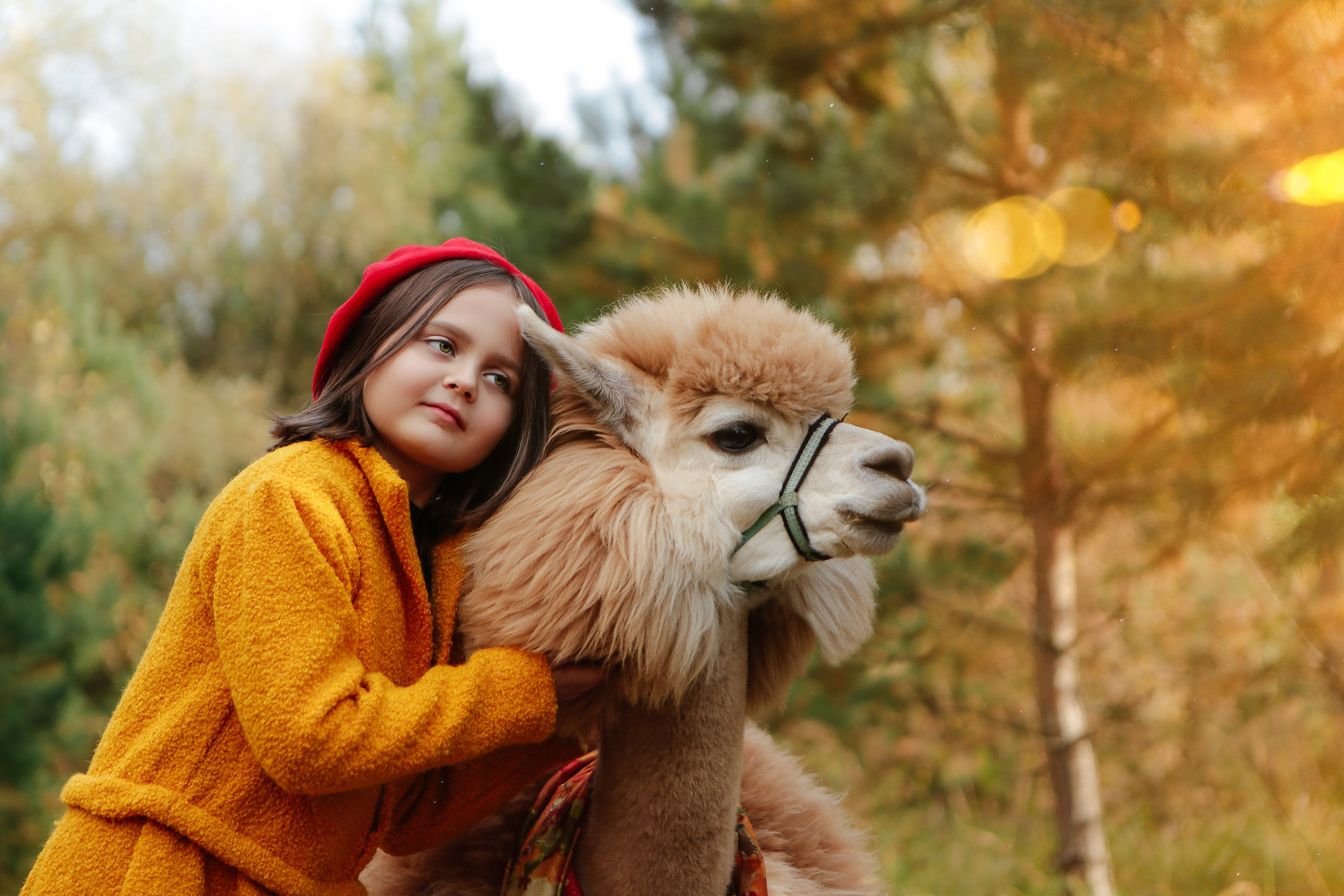 Альпаки. Семейный и детский фотограф в Москве Александра Мак