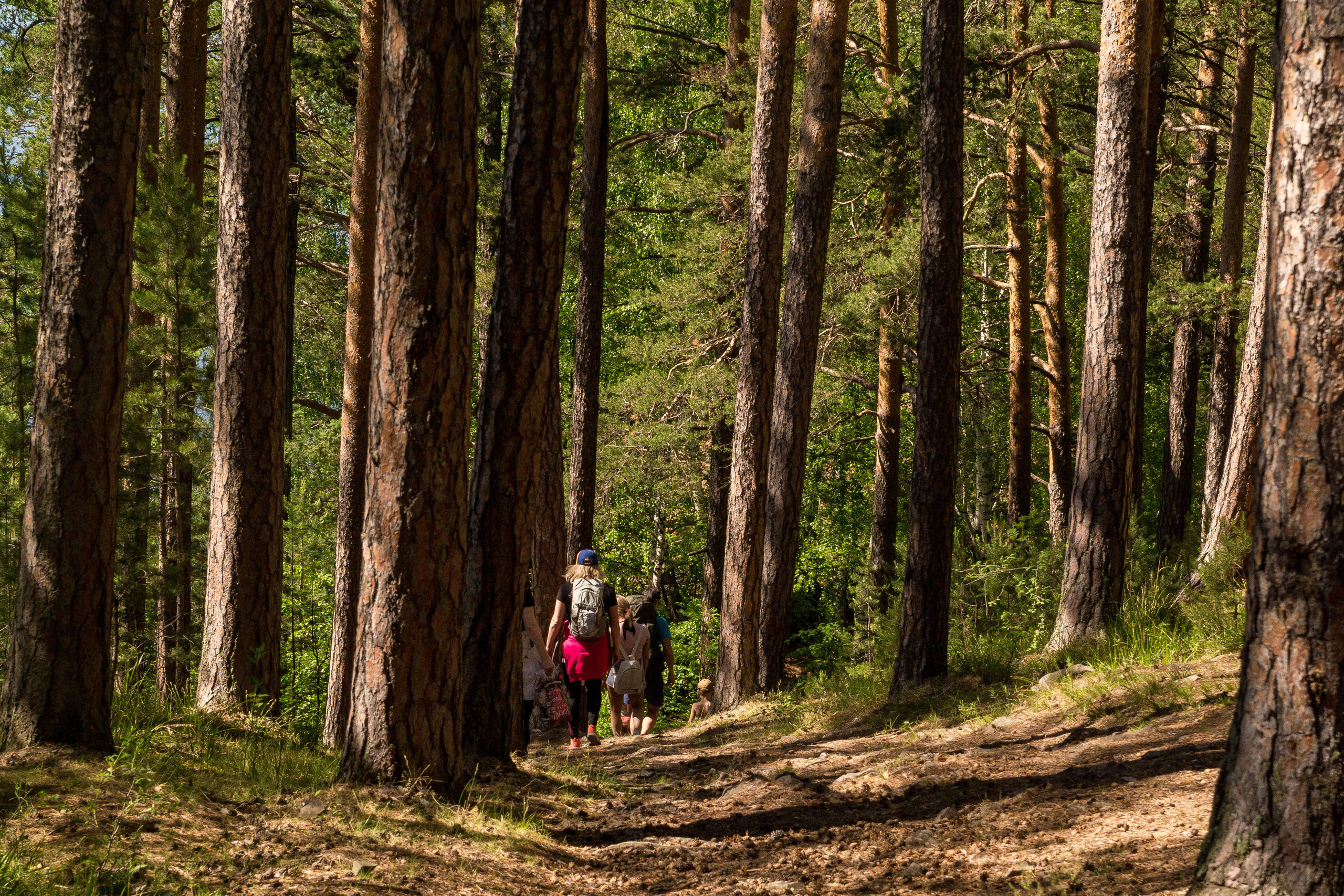 Тургояк 05.06.2021. Свадебный фотограф на Урале Виктор Соколов