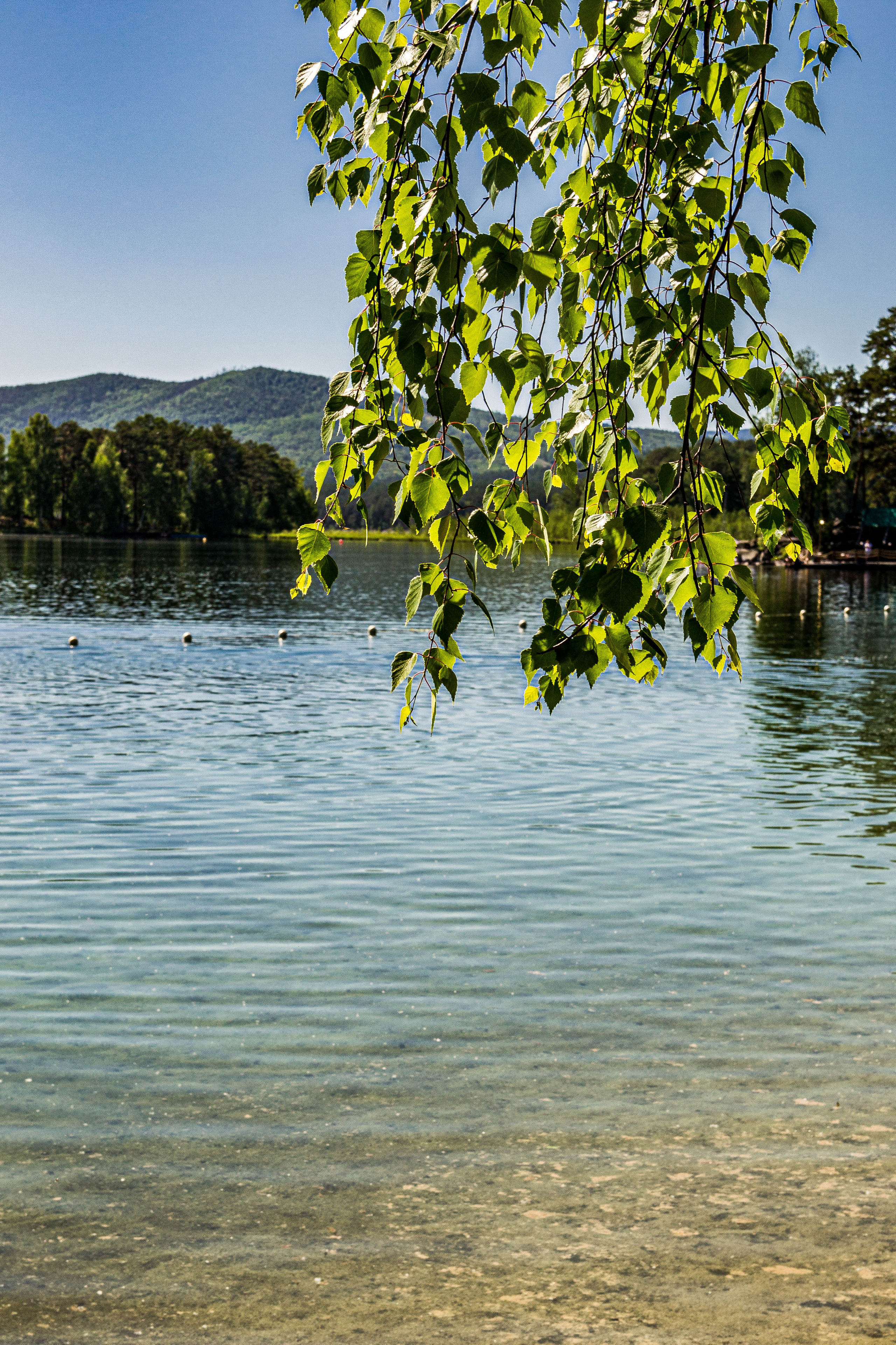 Тургояк 05.06.2021. Свадебный фотограф на Урале Виктор Соколов