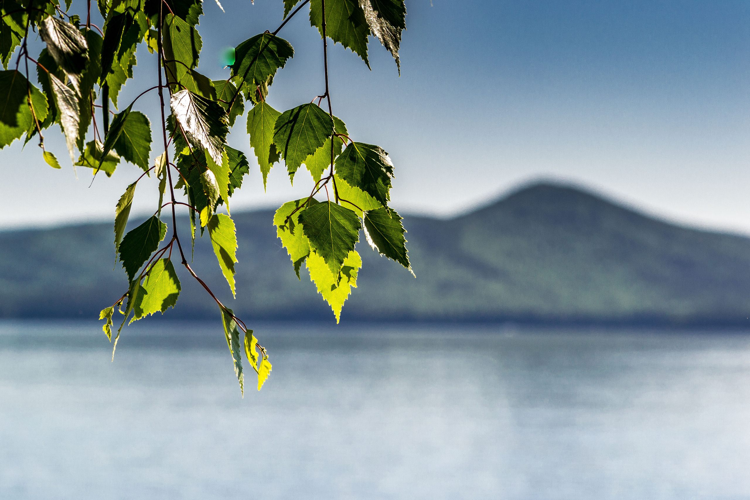 Тургояк 05.06.2021. Свадебный фотограф на Урале Виктор Соколов
