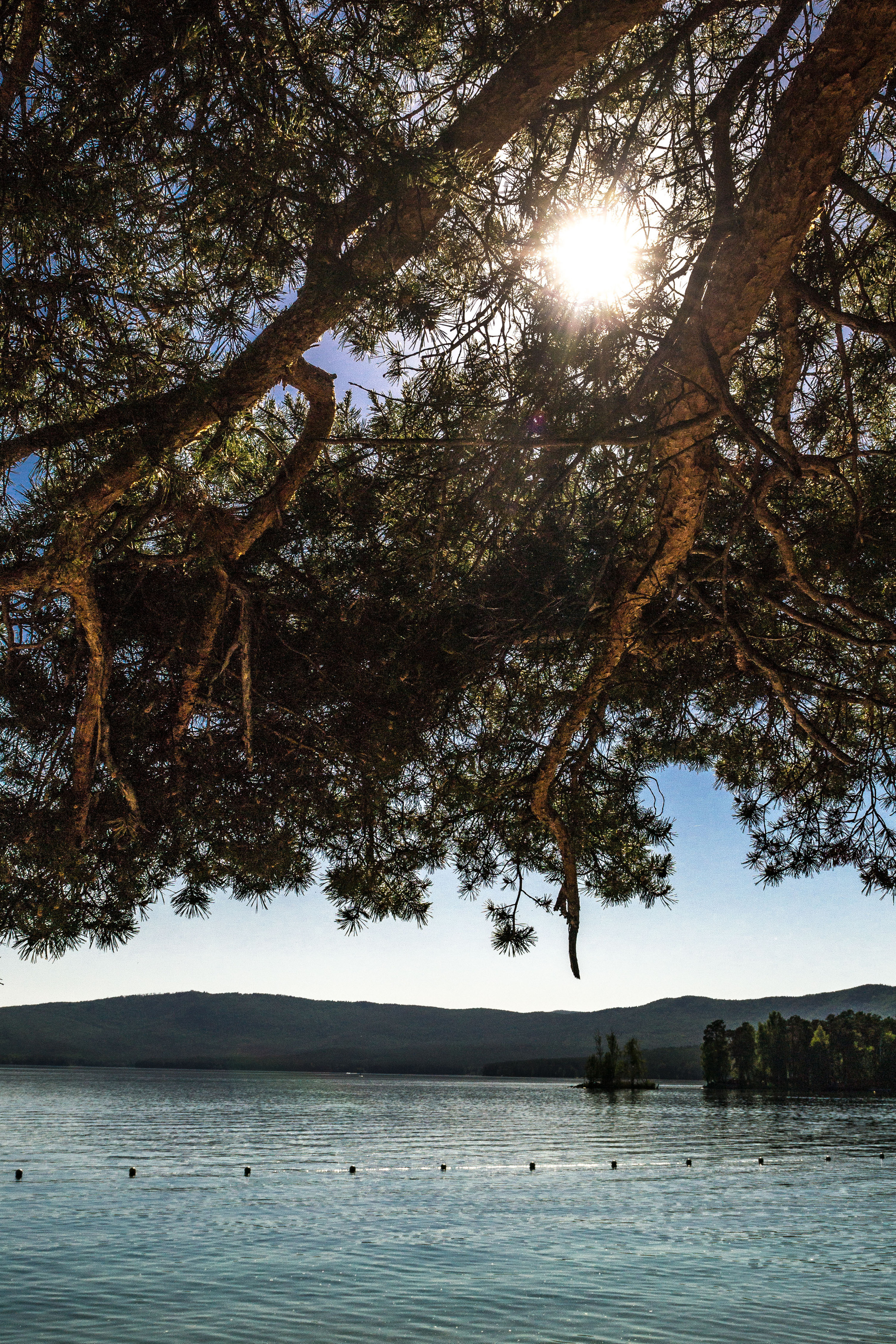 Тургояк 05.06.2021. Свадебный фотограф на Урале Виктор Соколов