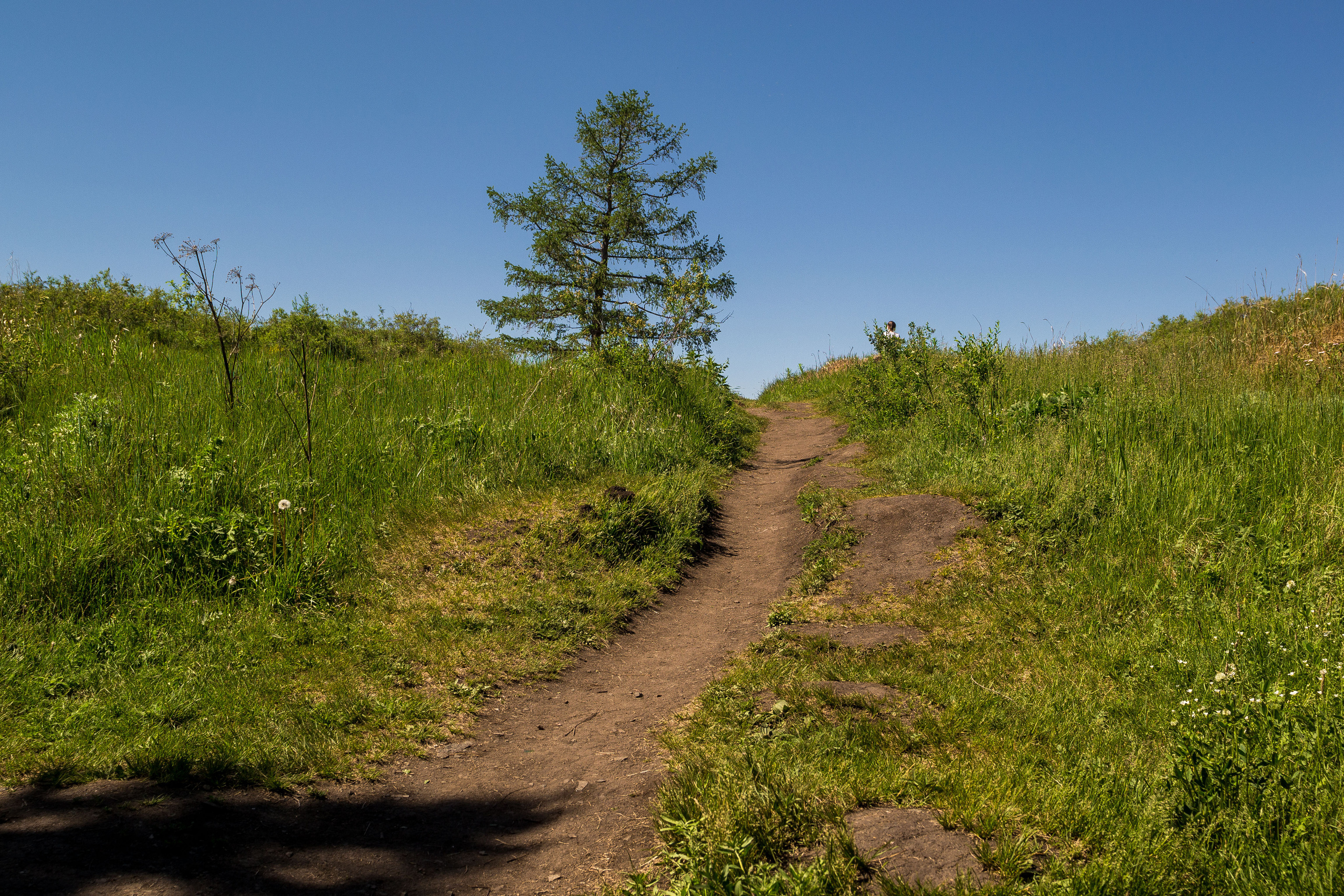 Тургояк 05.06.2021. Свадебный фотограф на Урале Виктор Соколов