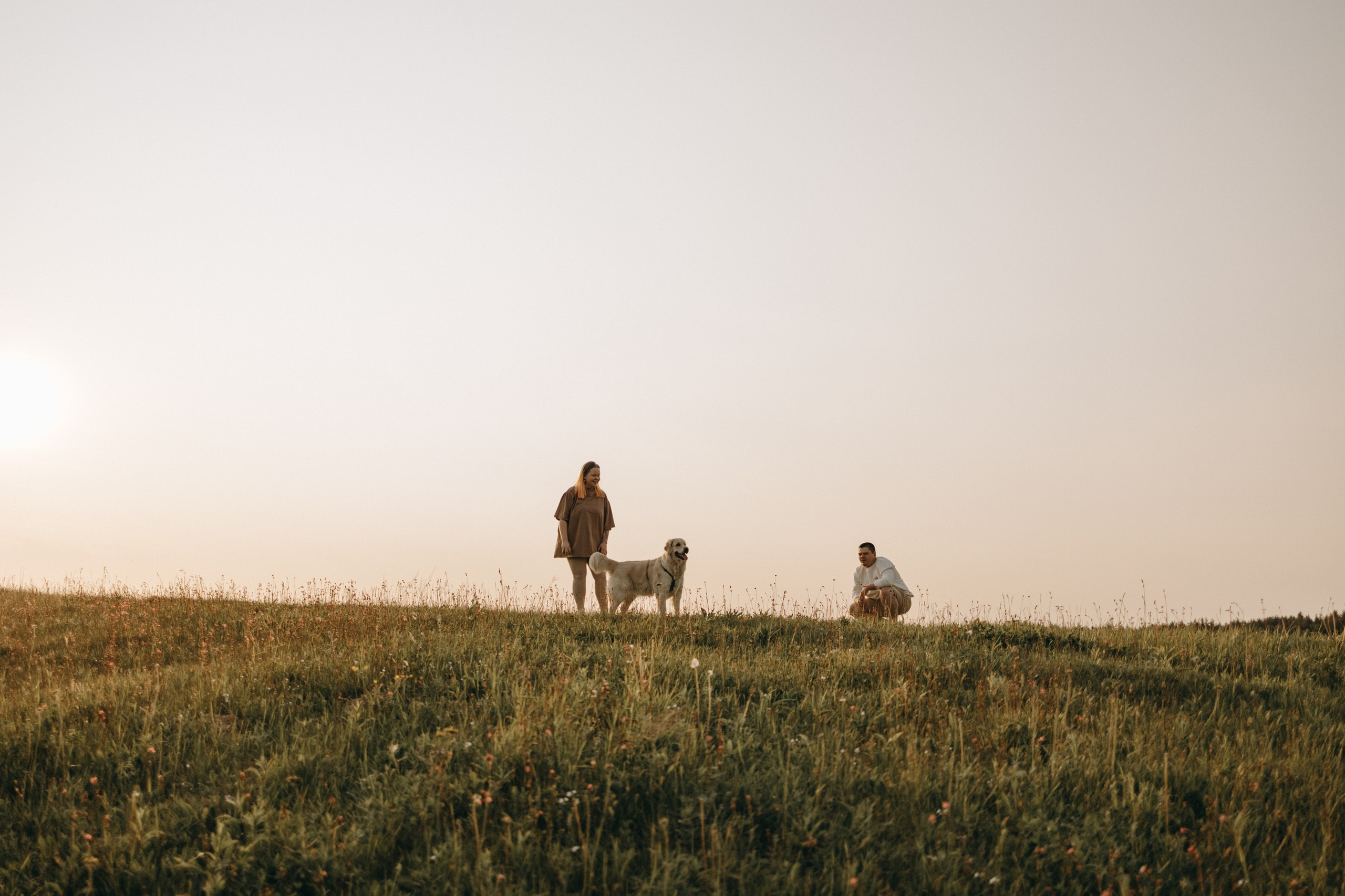 Милка и ребята. Фотограф — Анималист | Санкт-Петербург
