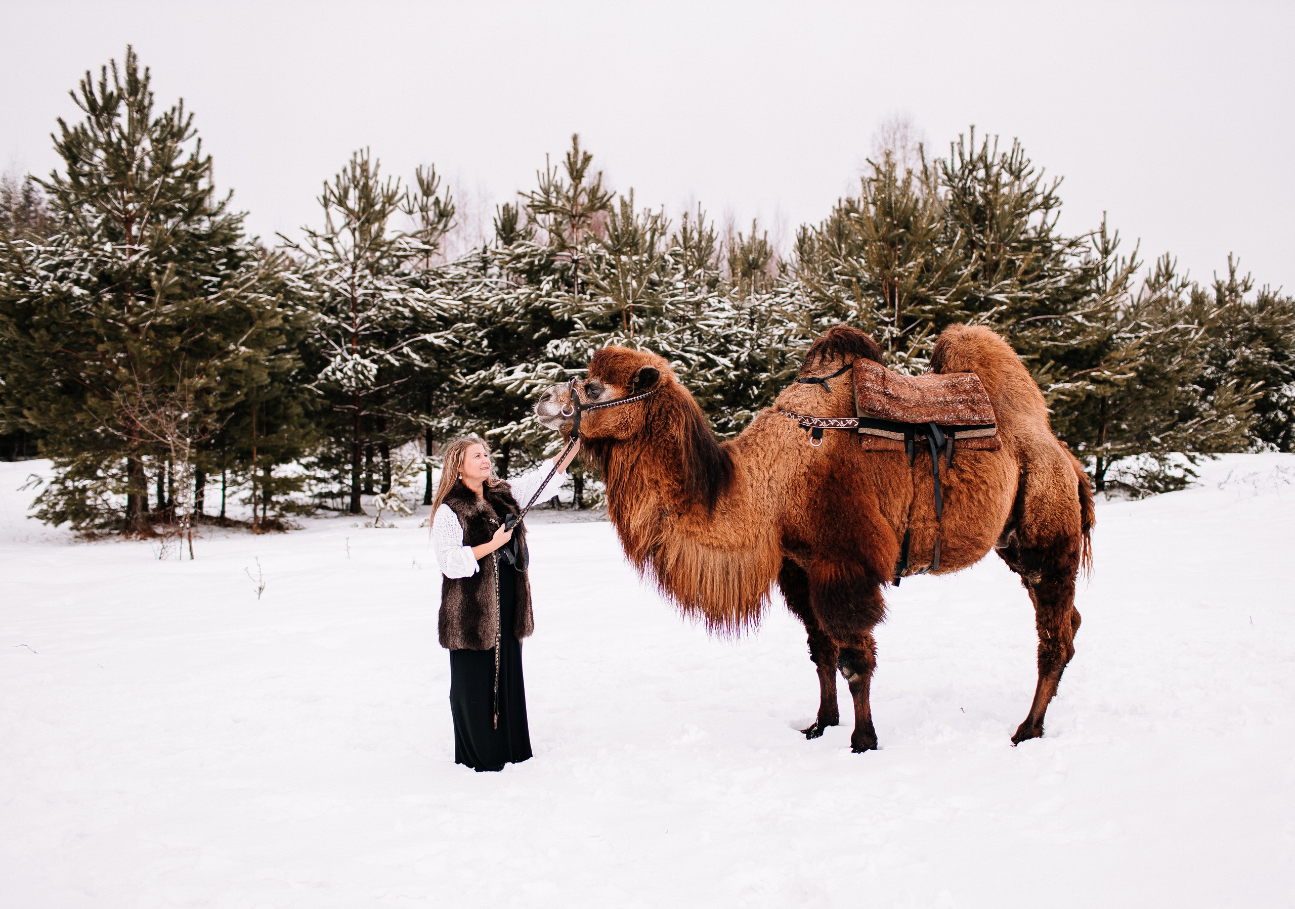 Леденящее приключение. Фотосессии Фотодни Псков СПб