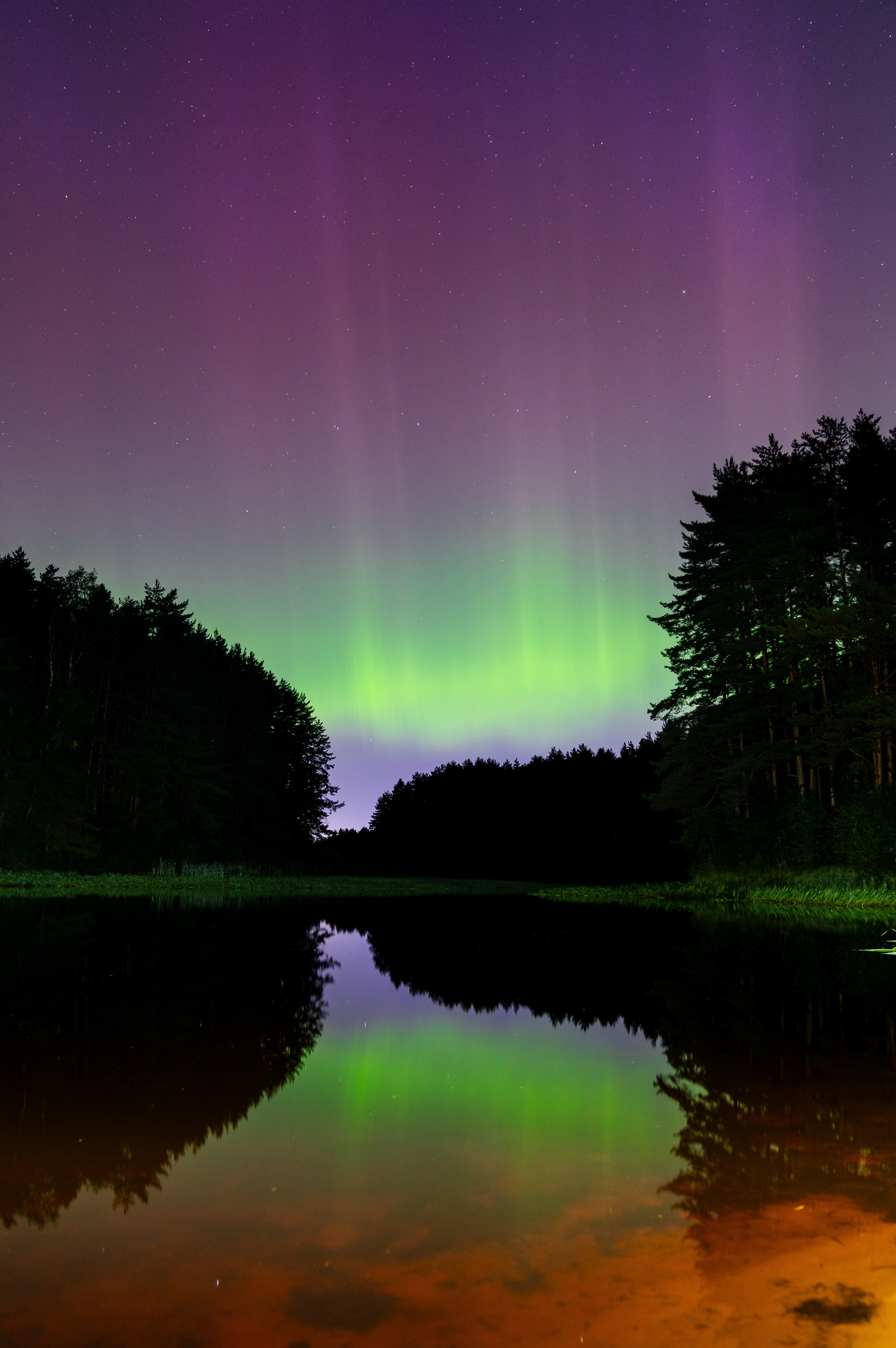 Фотогалерея Евгений Мальцев: Природа, пейзажи. Репортажный фотограф Санкт-Петербург | Мальцев Евгений