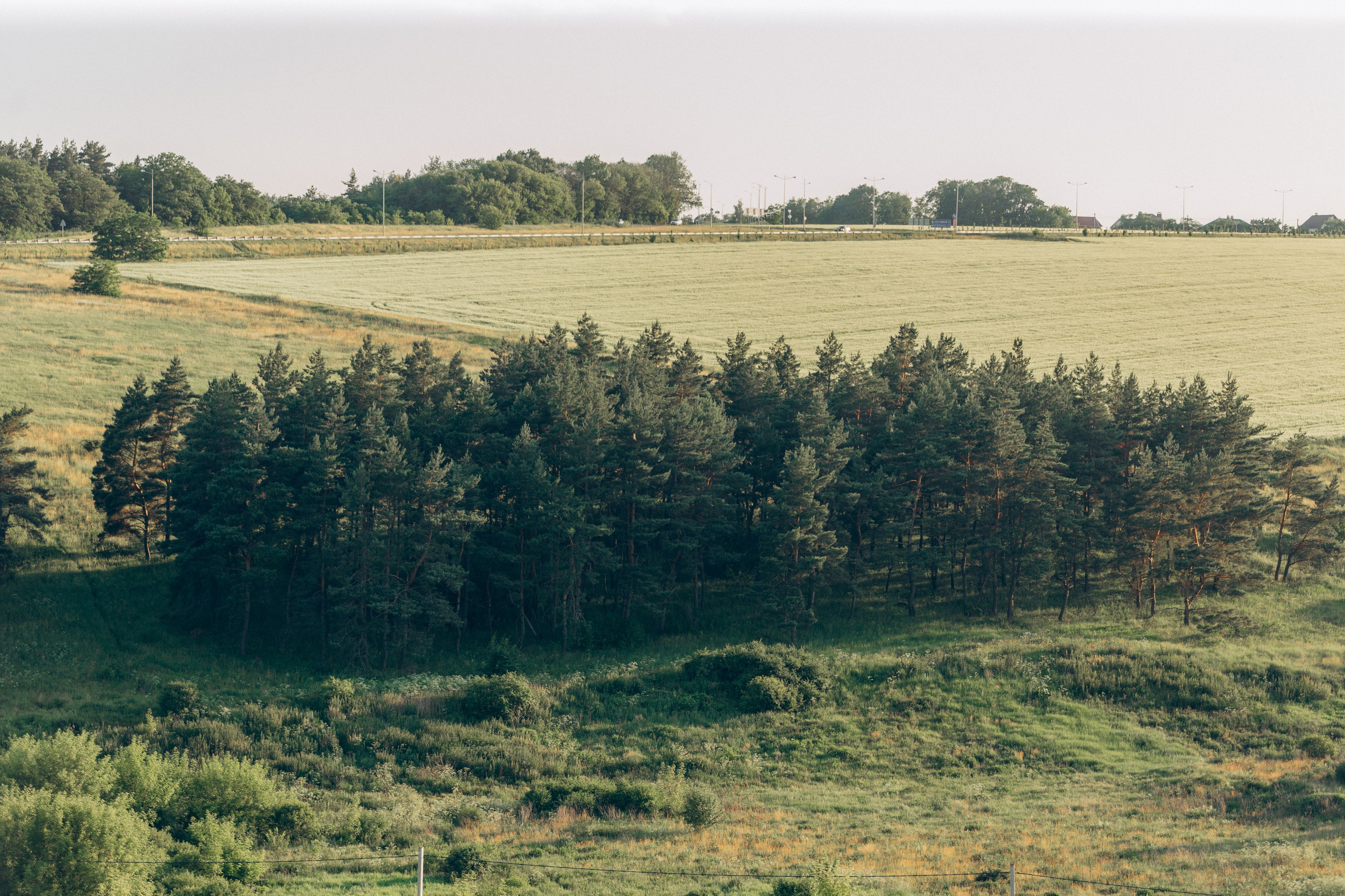 Паймон. Семейный фотограф в Белгороде