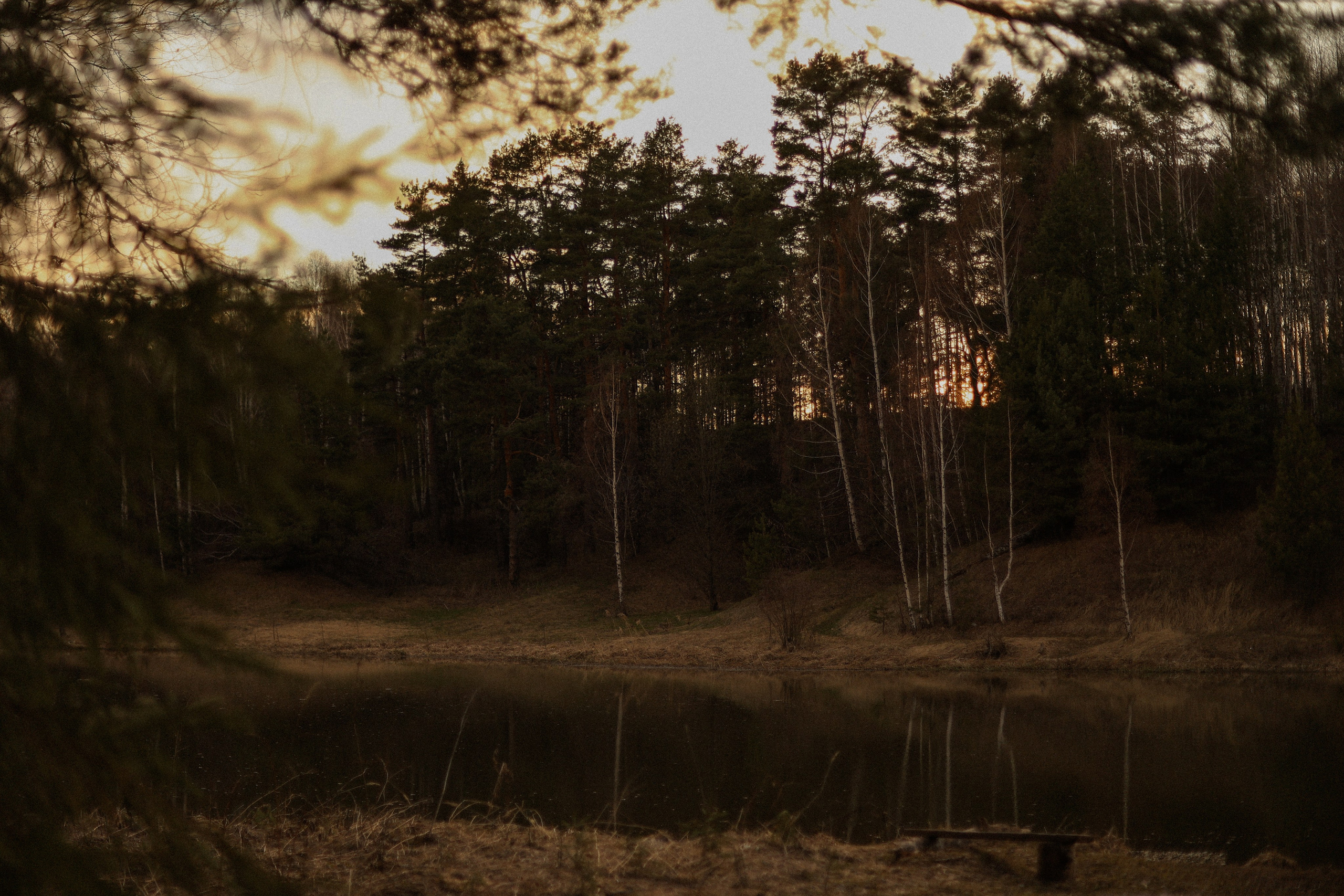 Ты мой космос. Фотограф — Ольга Косолюкина