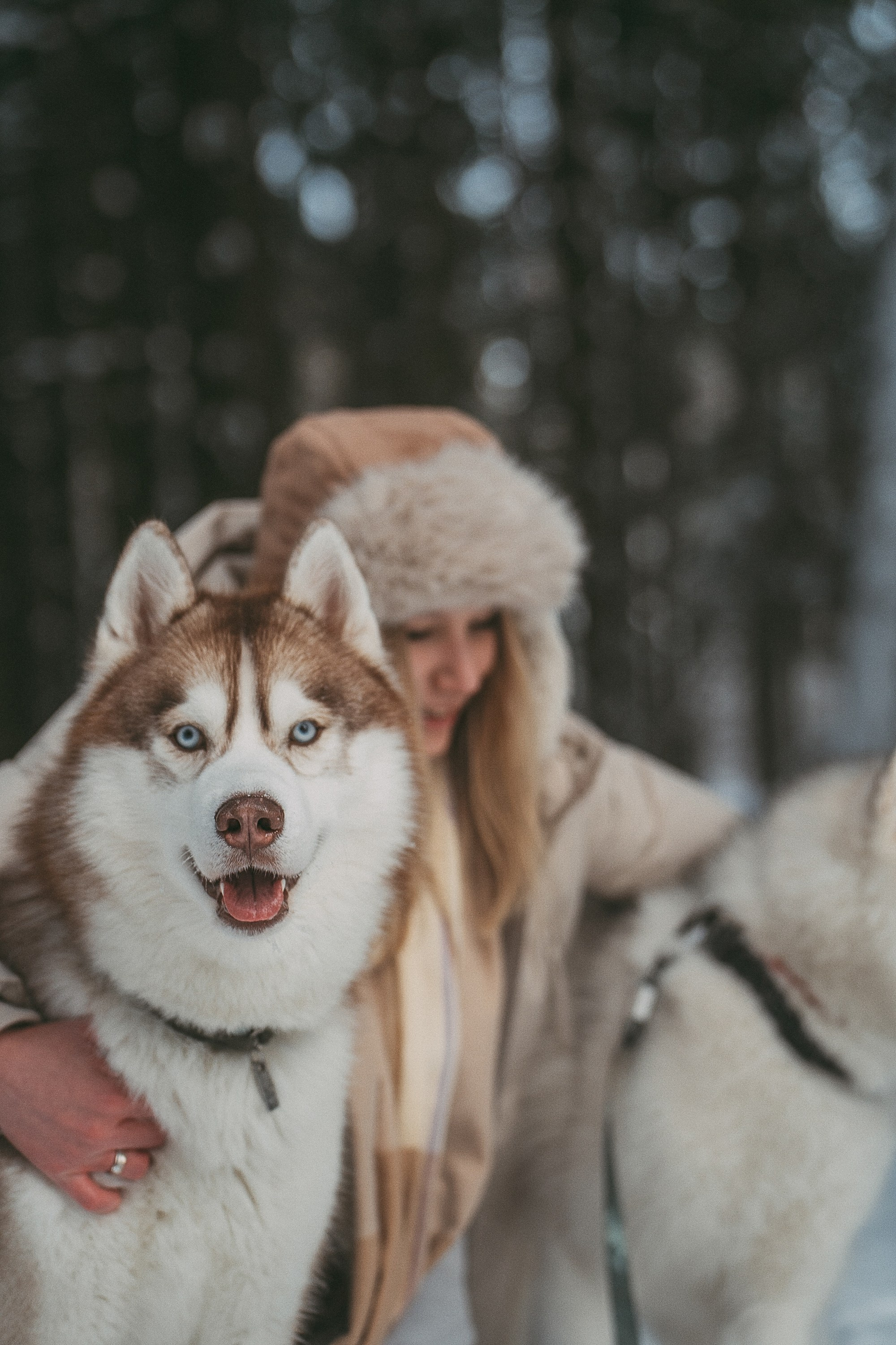 Полина, Уго и Пышка. Фотограф анималист в Москве и Санкт-Петербурге Свиридова Анна