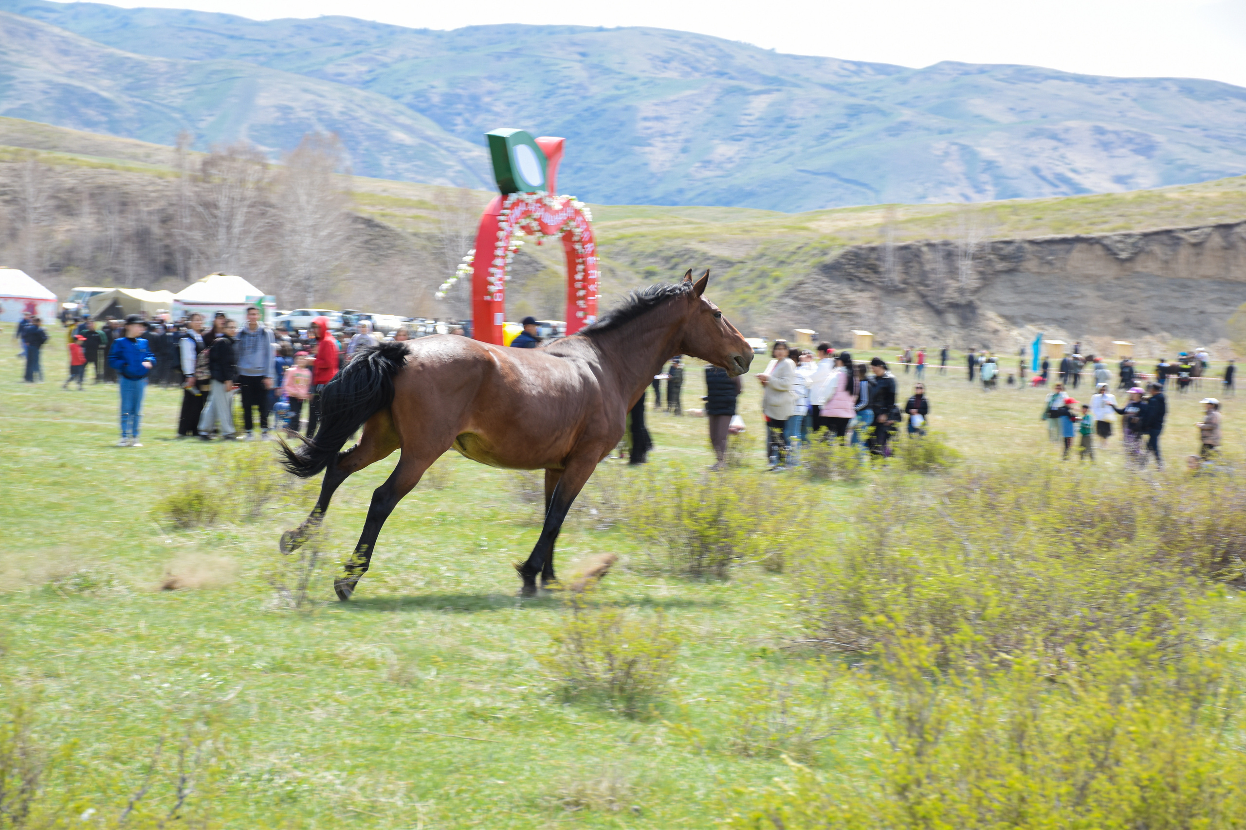 Фестиваль «Сиверс». Фотограф в Алматы