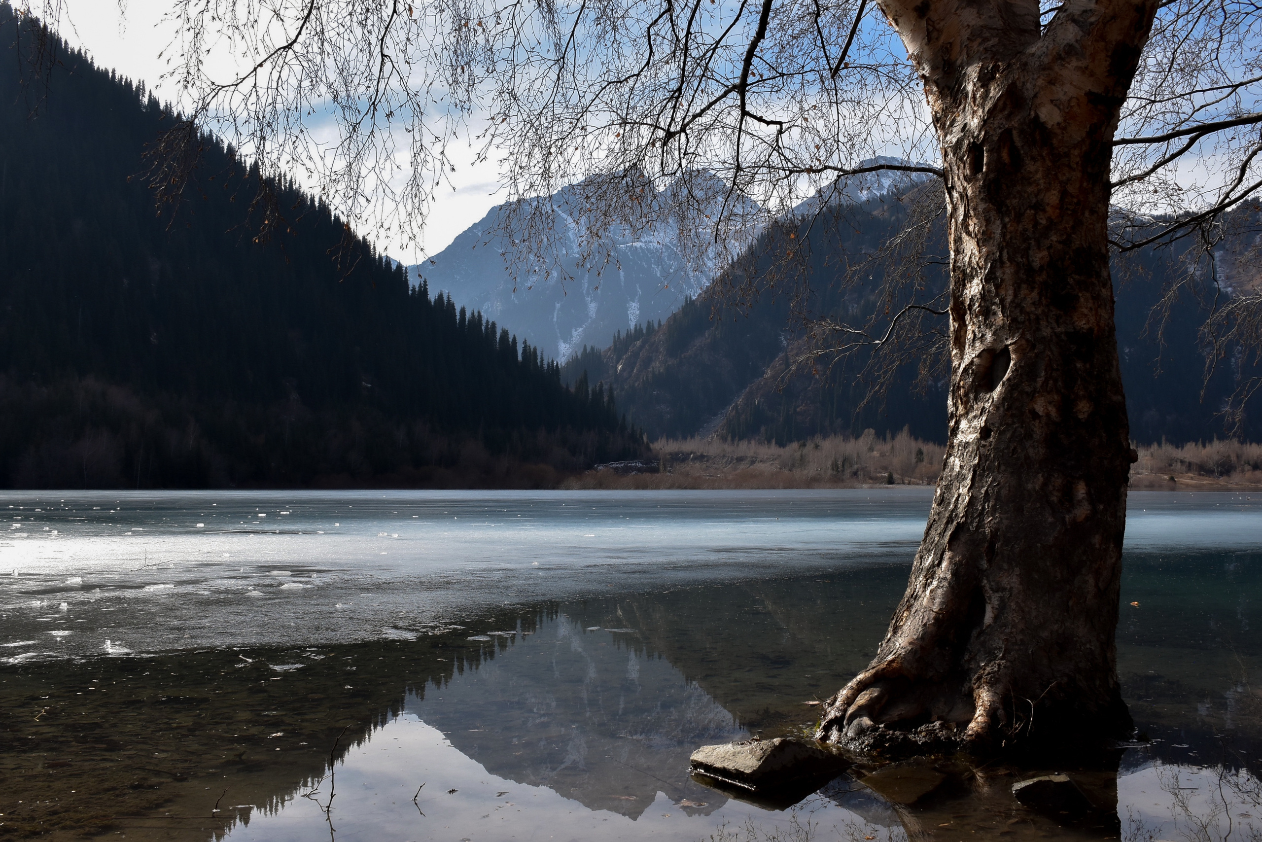 Горы. Фотограф в Алматы