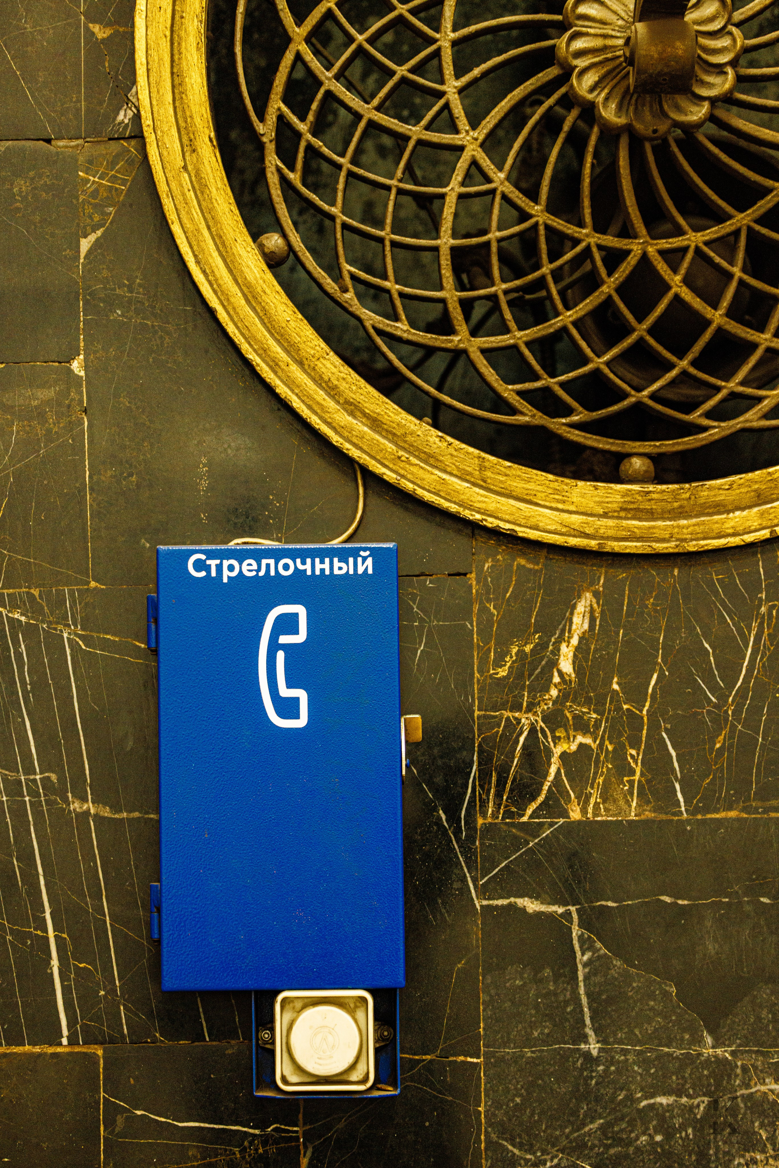 Весна в Москве 2026. Фотографирую жизнь! Московский фотограф волонтер