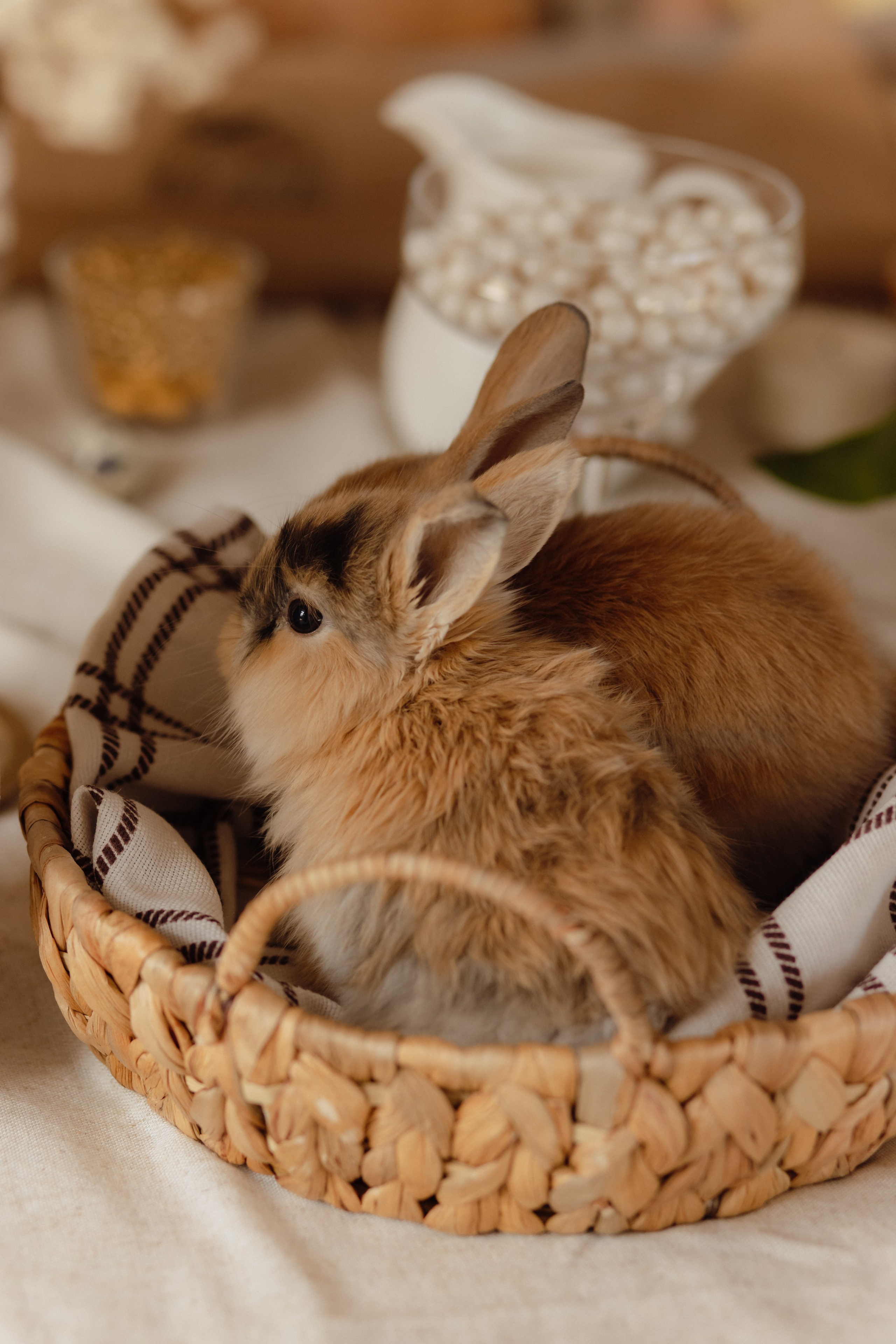 Варвара. Семейный и свадебный фотограф в Челябинске Мария Леонтьева