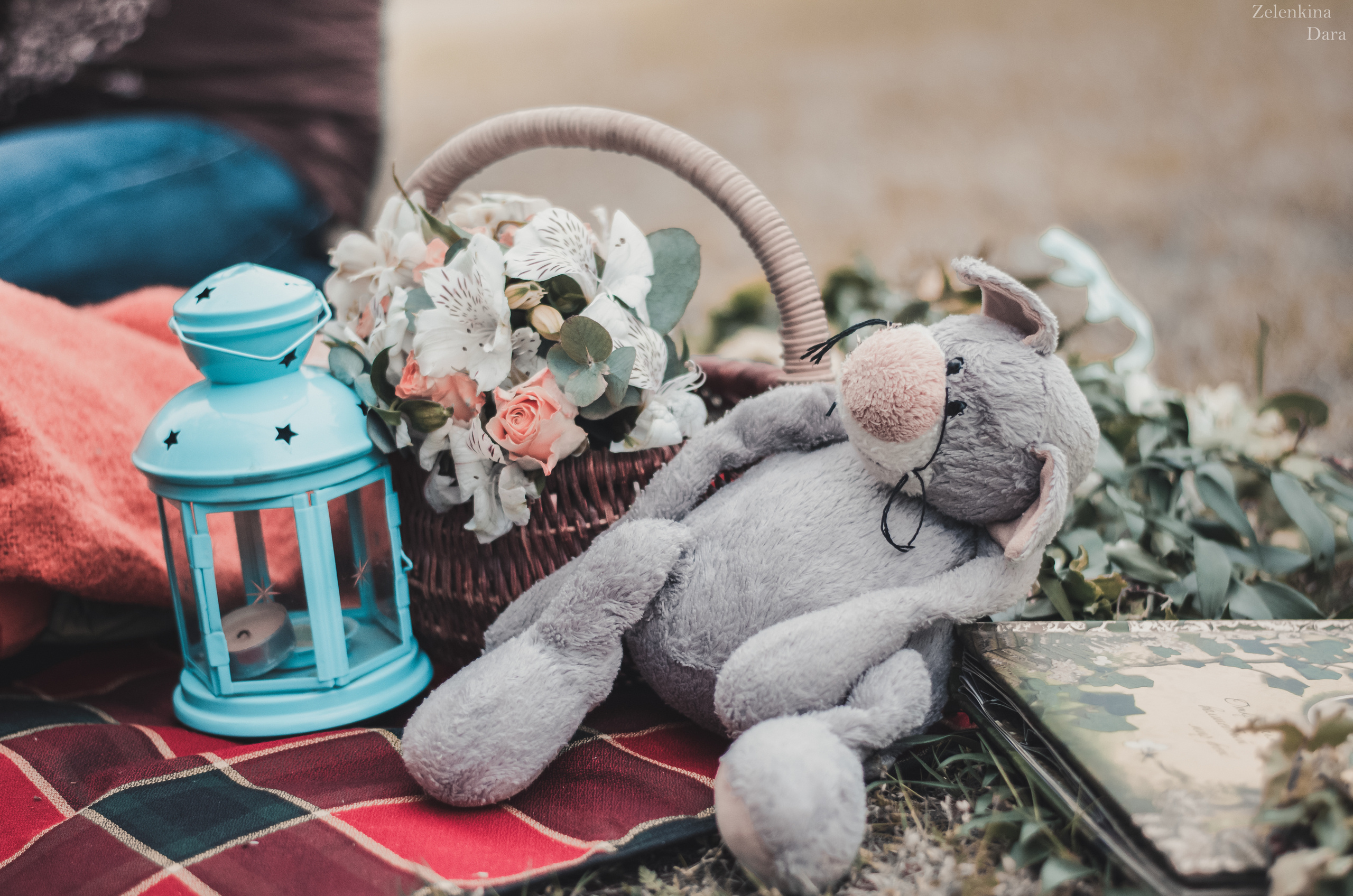 Мила. Фотограф в Краснодаре Зеленкина Дарья