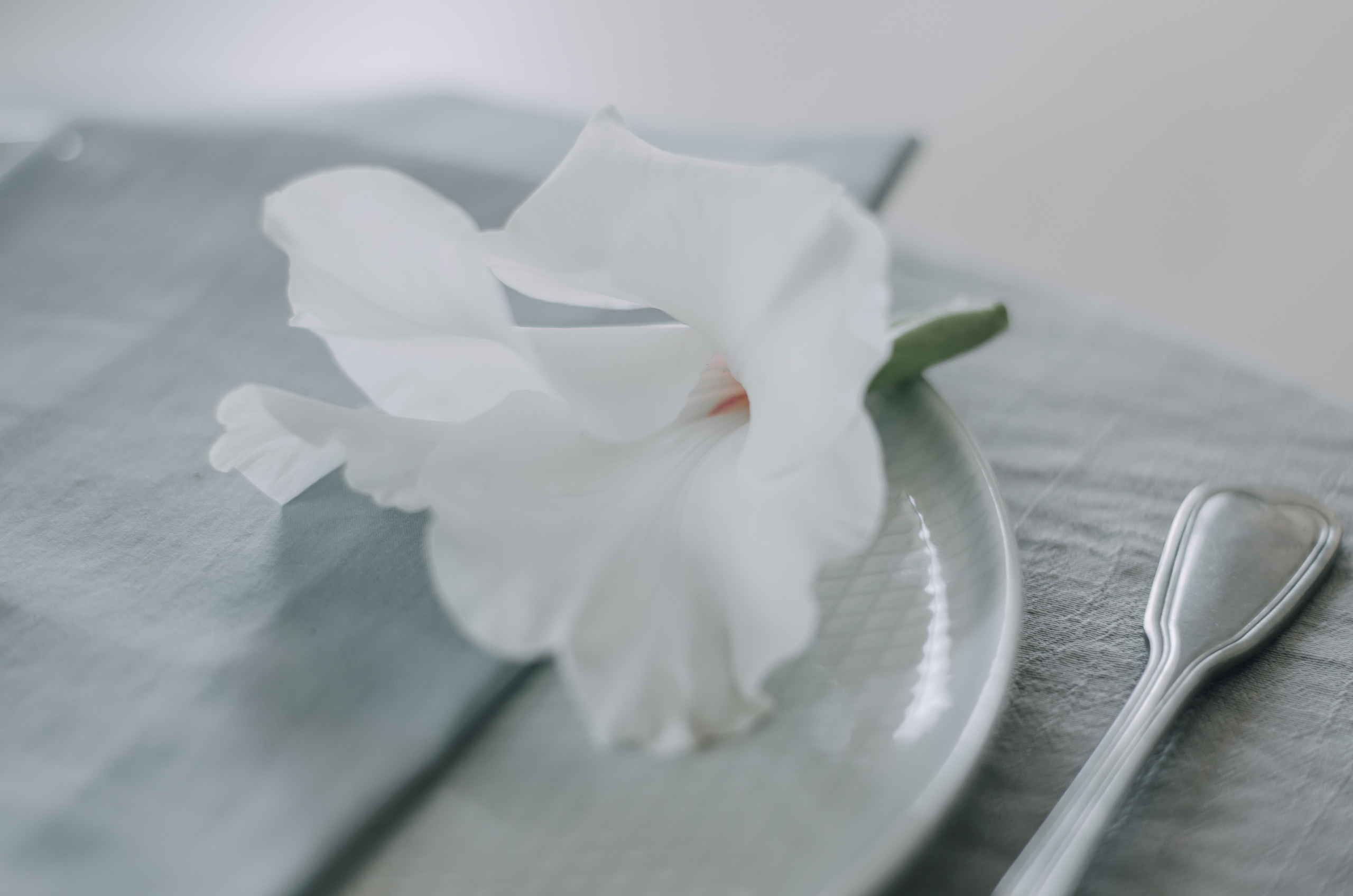 Wedding dew. Фотограф в Краснодаре Зеленкина Дарья