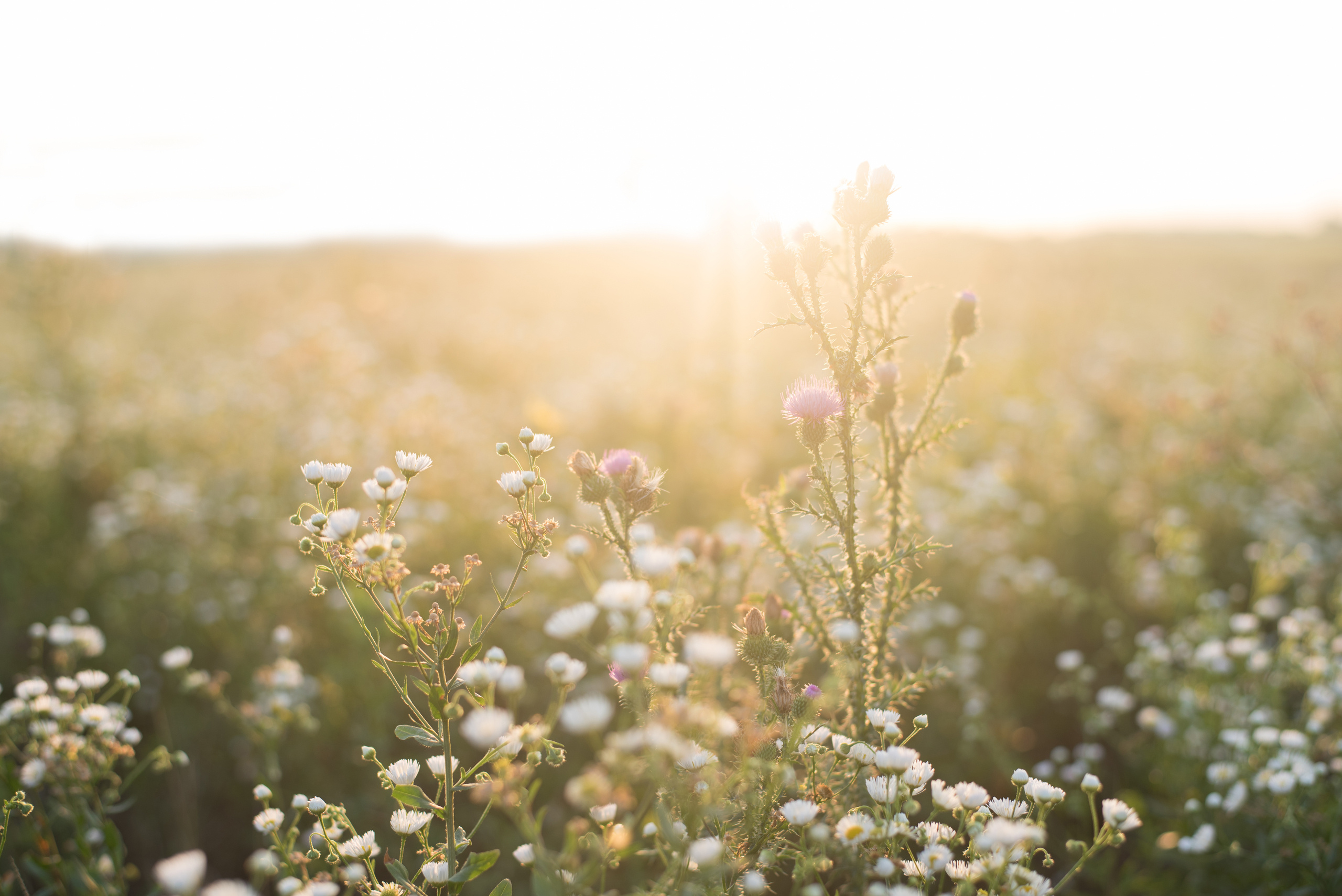 Встречая рассвет. Фотограф в Краснодаре Зеленкина Дарья