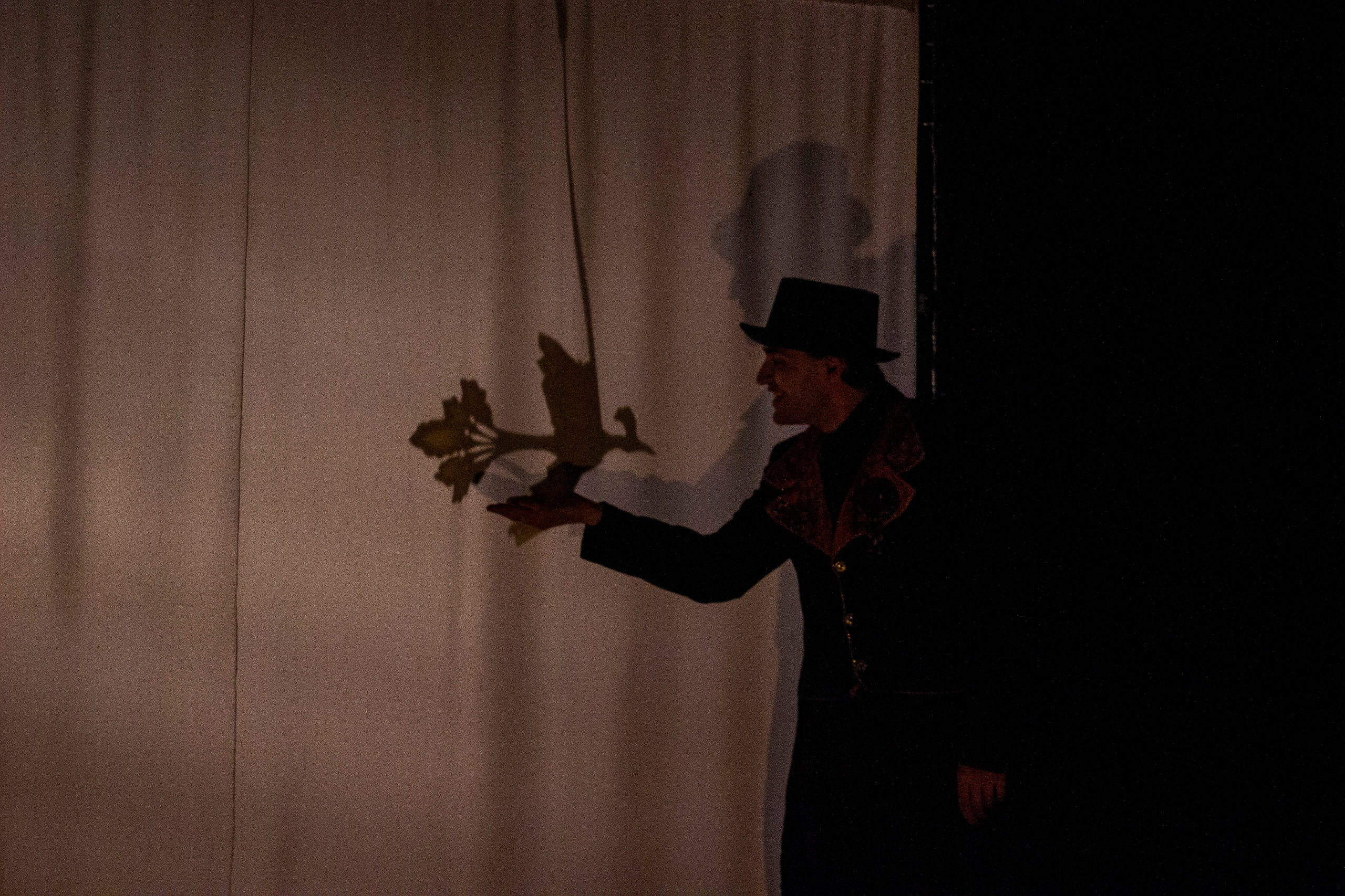 В тени иллюзий. Фотограф в Санкт-Петербурге Малов Владимир