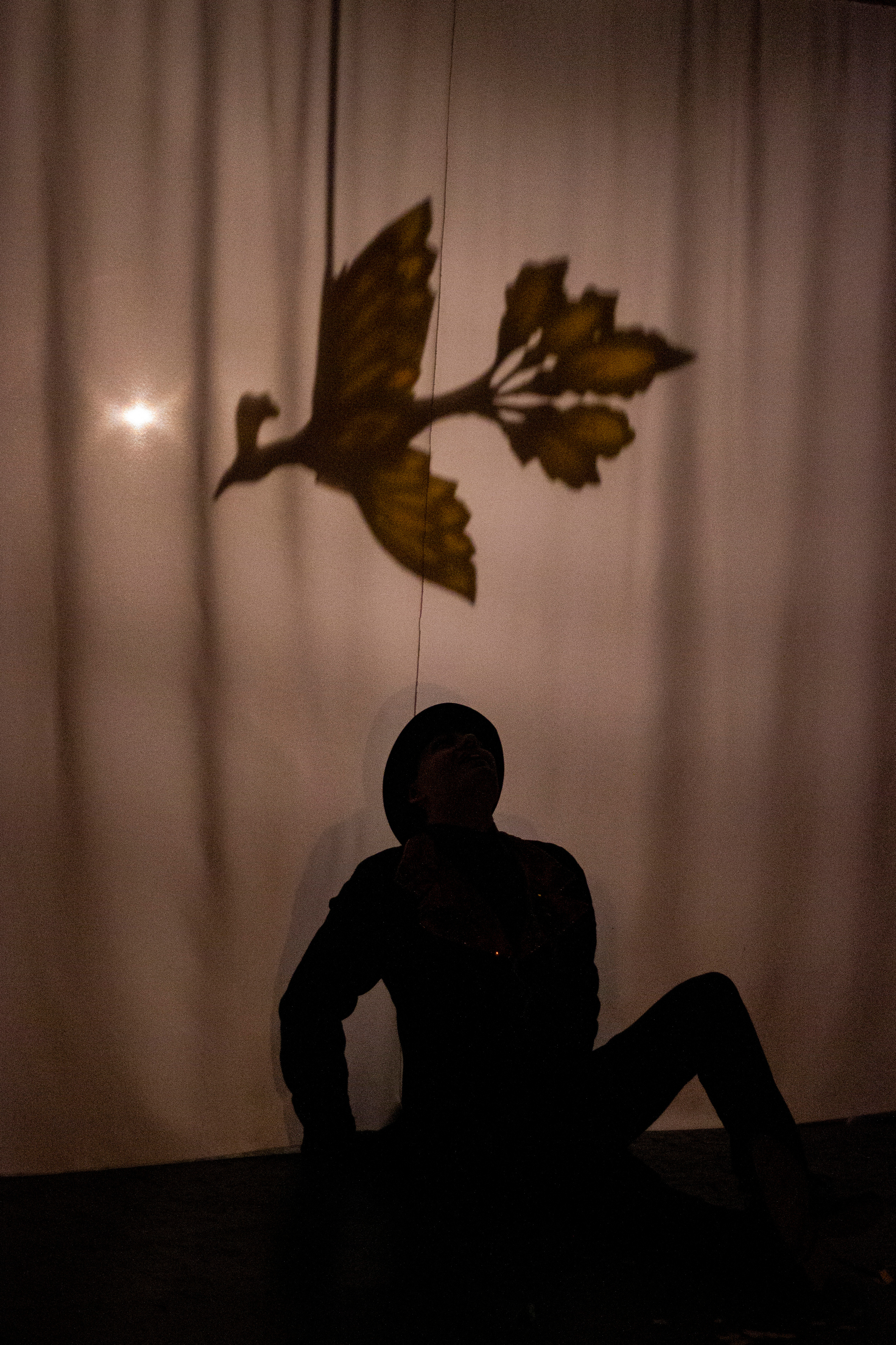 В тени иллюзий. Фотограф в Санкт-Петербурге Малов Владимир