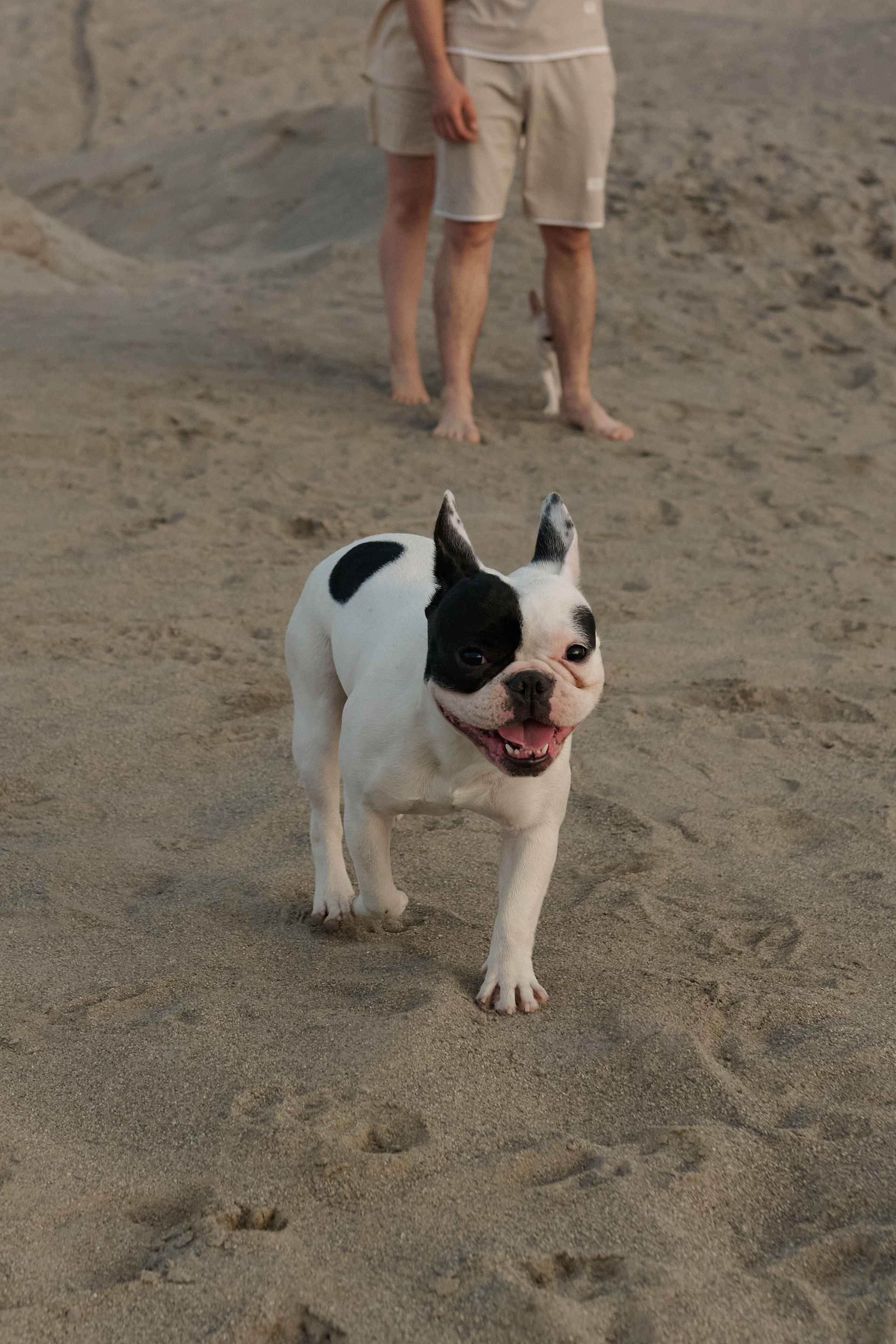 Пески. Свадебный фотограф Екатеринбург/Челябинск — Любовь Волохова