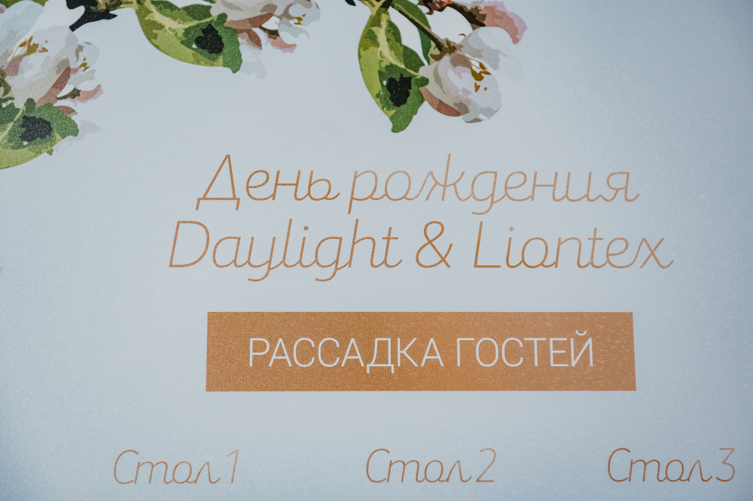 Аркобалено, корпоратив. Свадебный и семейный фотограф Виктория Носачёва. Щелково, Москва и МО