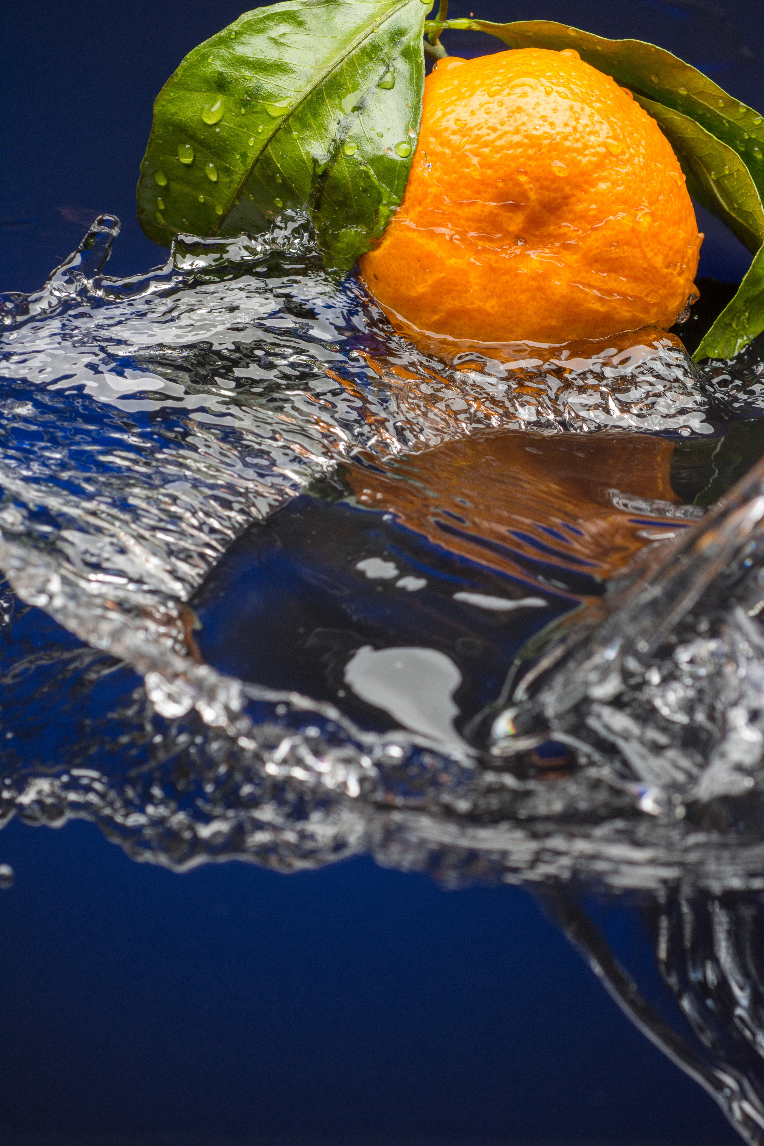 мандарин и волна