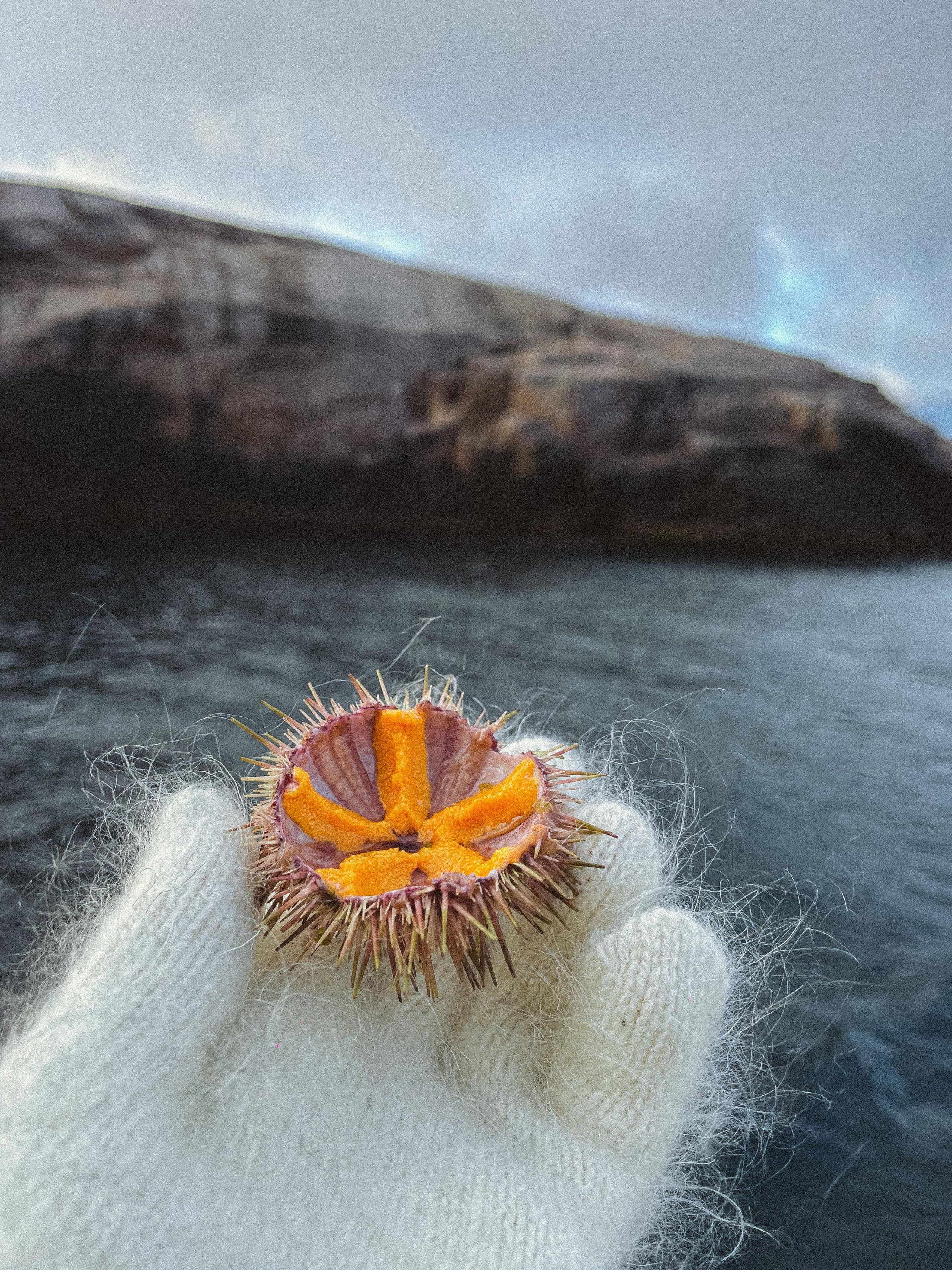 Путешествие по Териберке. Северное сияние. Уникальные экспедиции — LUCKY CLAN