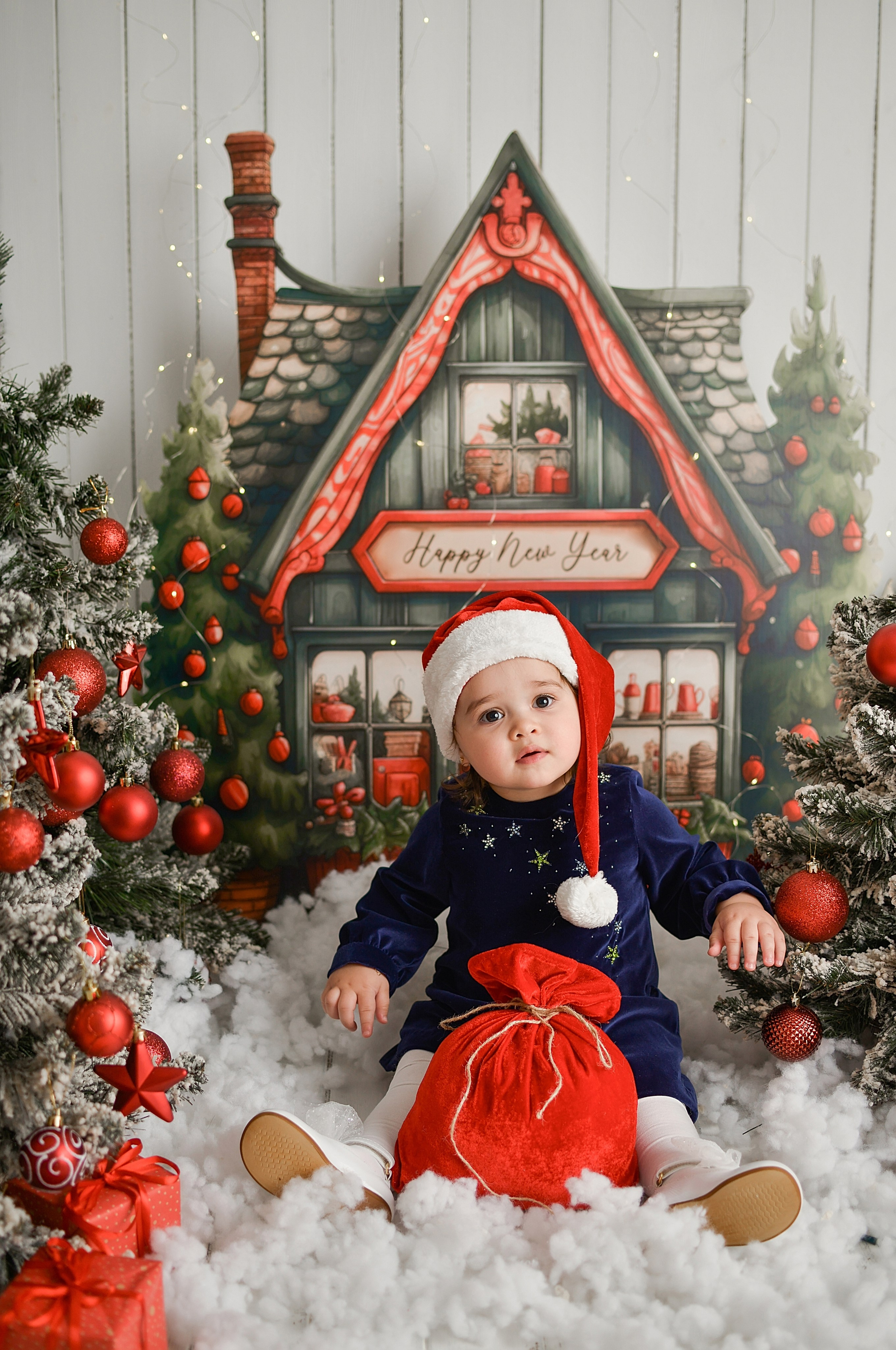 Новогодняя семейная фотосессия в Краснодаре 2023-2024. Фотограф новорожденных Краснодар Малышенко Надежда