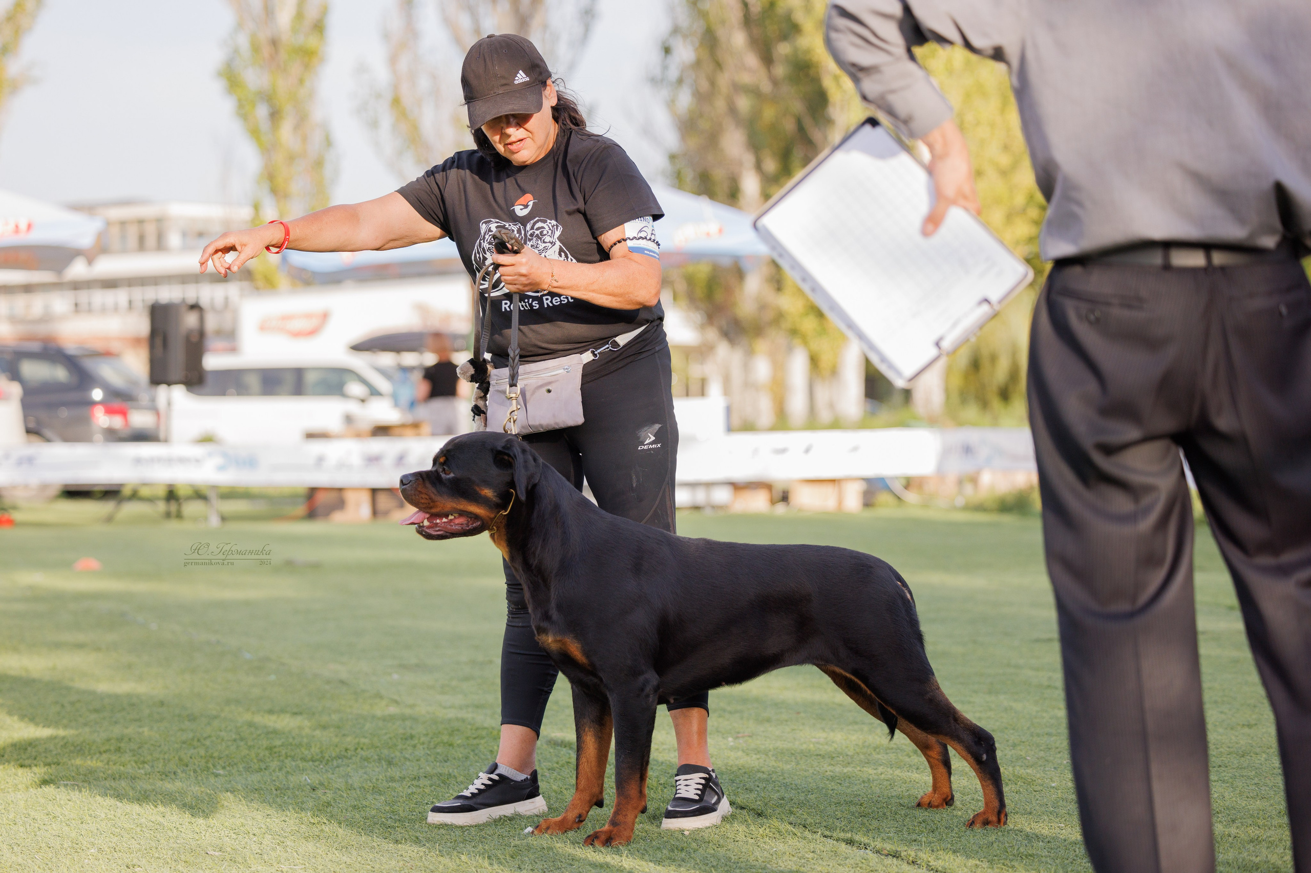Анапа ротвейлеры 14-15.09.2024. Фотограф-анималист Юлия Германика
