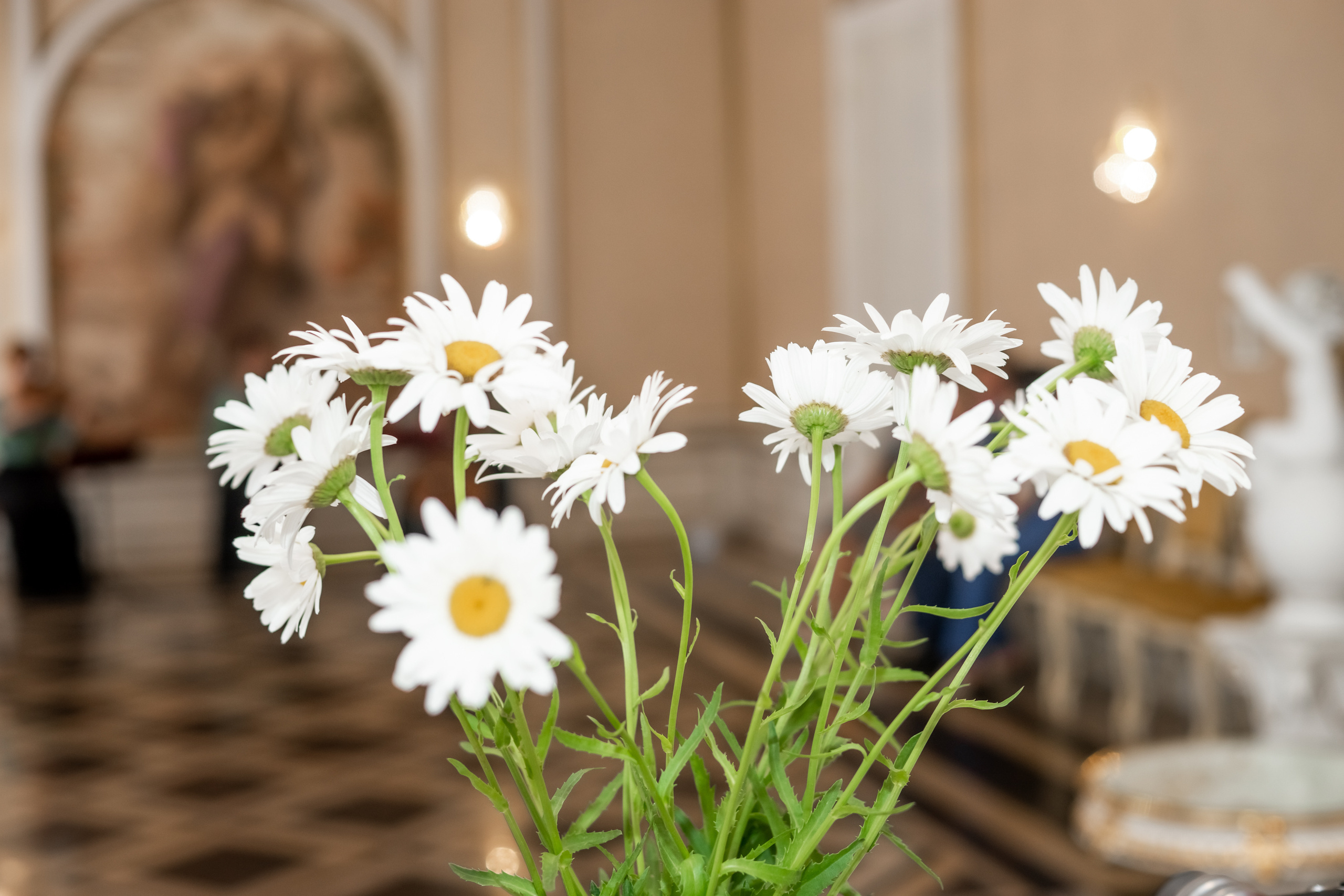 Юля и Павел. Ольга Плаксина фотограф в Саратове