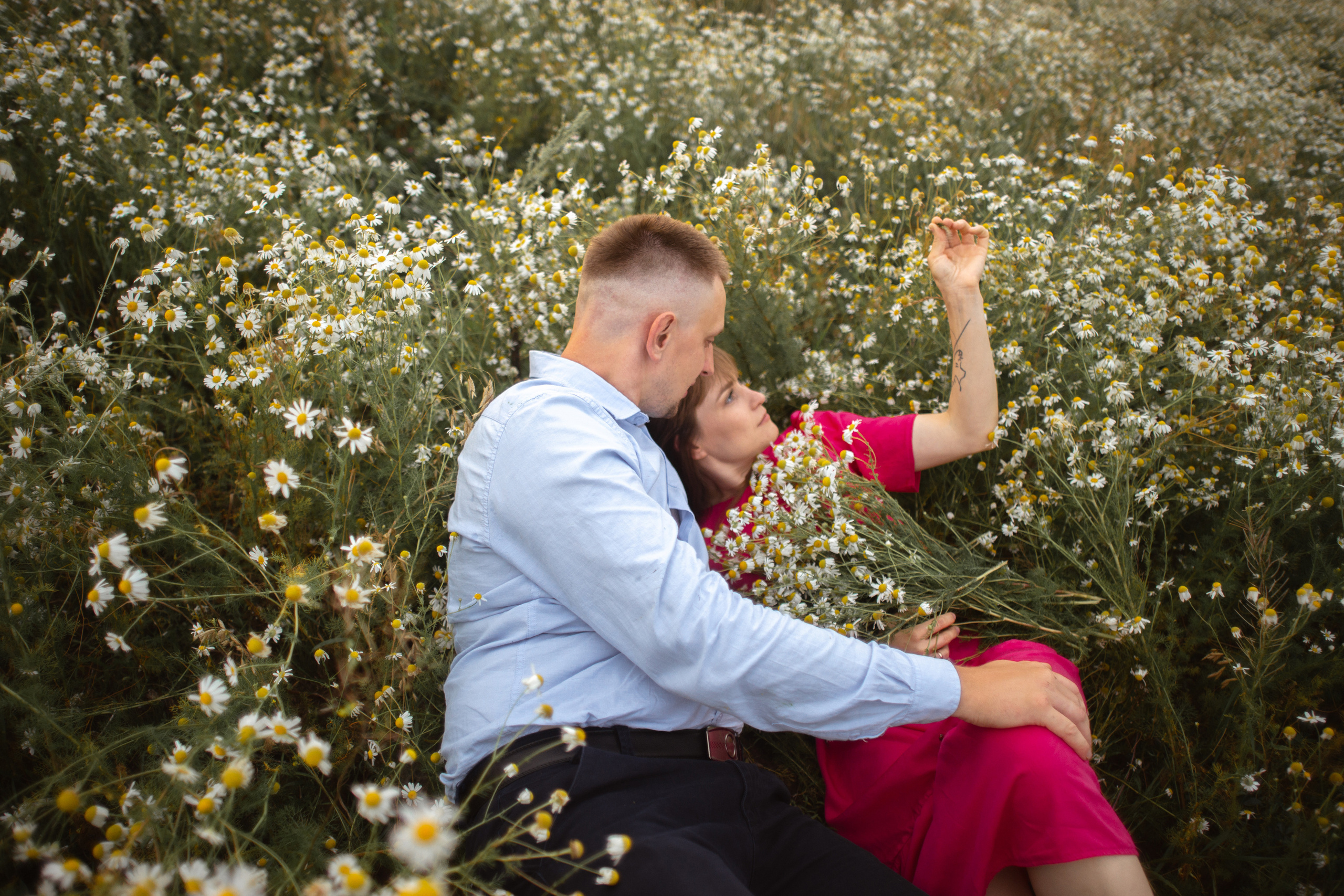 Лидия и Александр в поле ромашек. Ольга Плаксина фотограф в Саратове