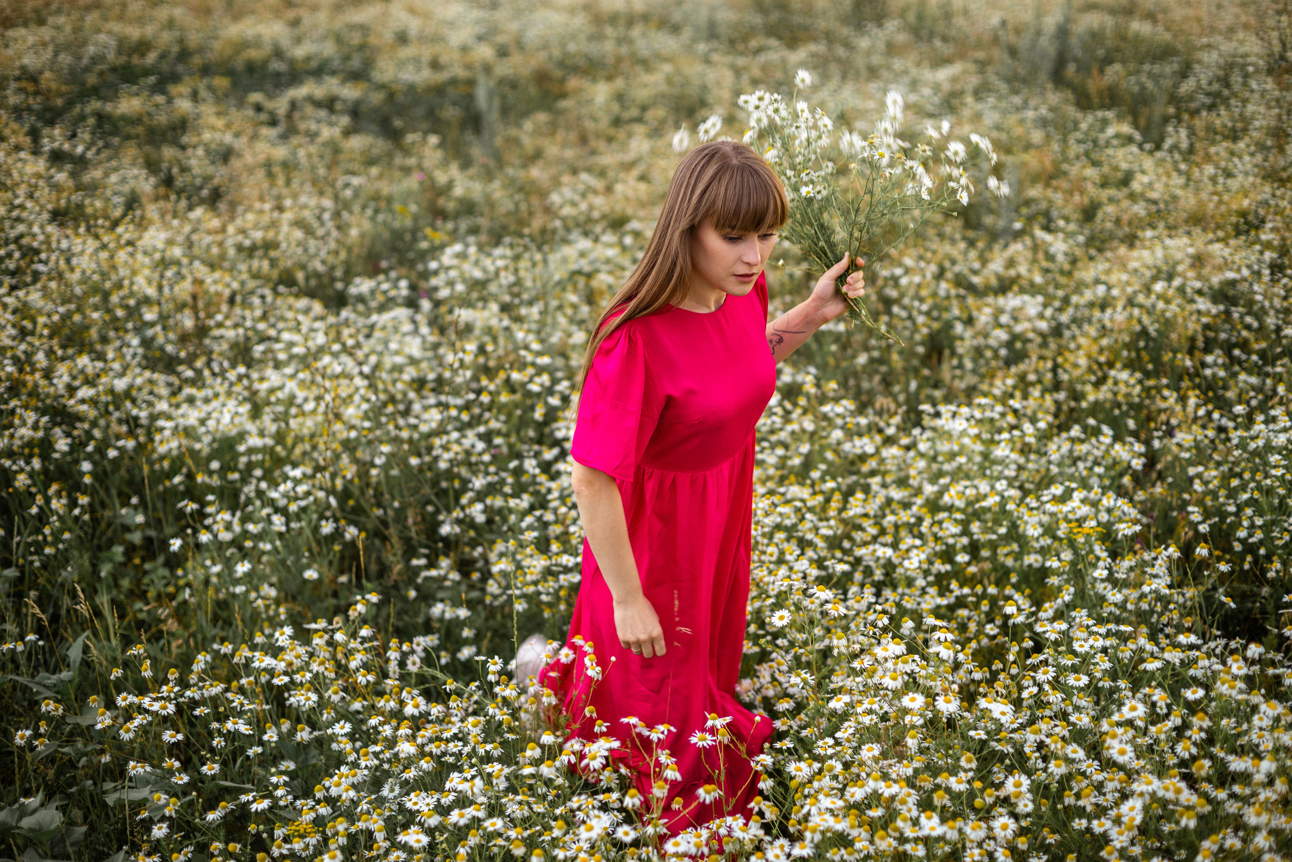 Лидия и Александр в поле ромашек. Ольга Плаксина фотограф в Саратове