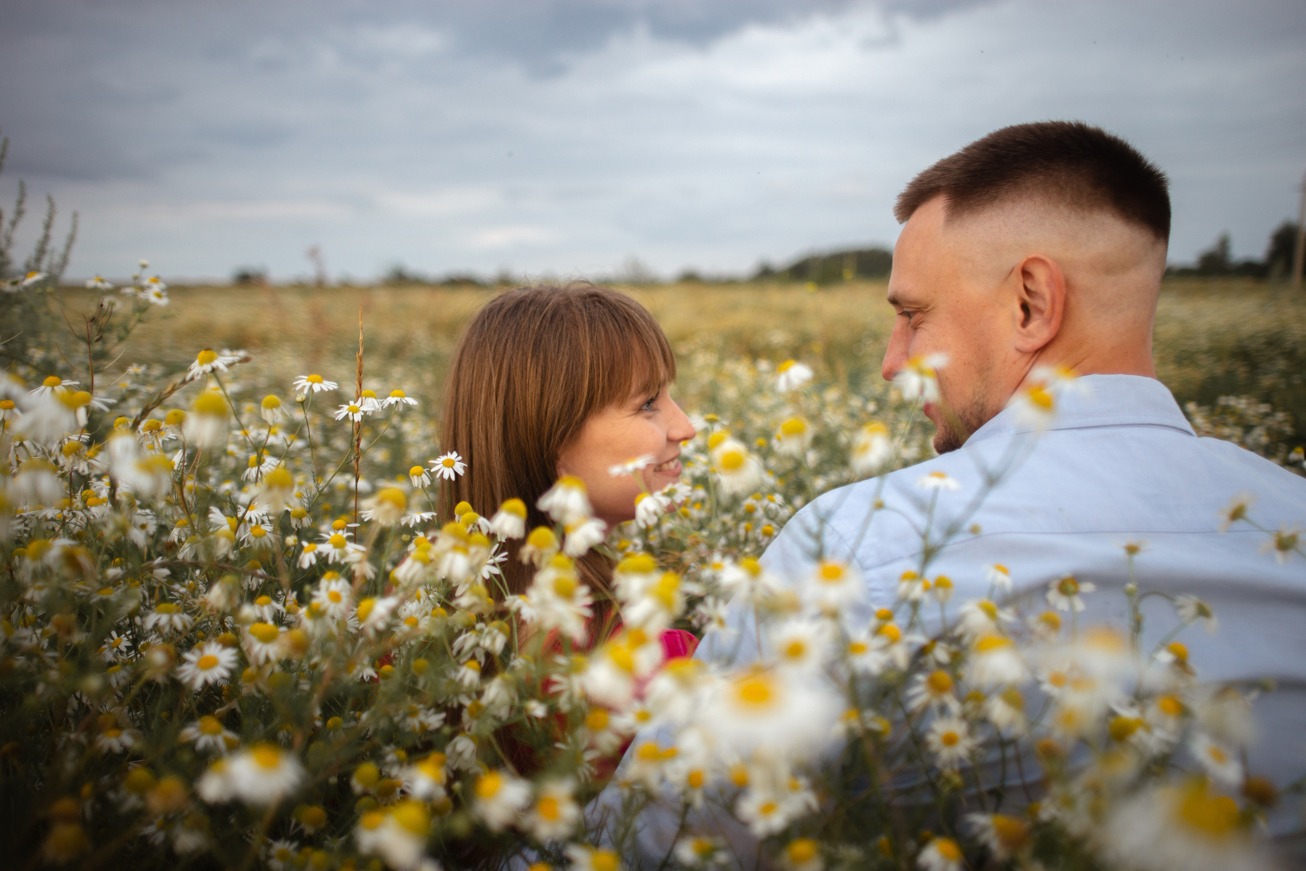 Лидия и Александр в поле ромашек. Ольга Плаксина фотограф в Саратове