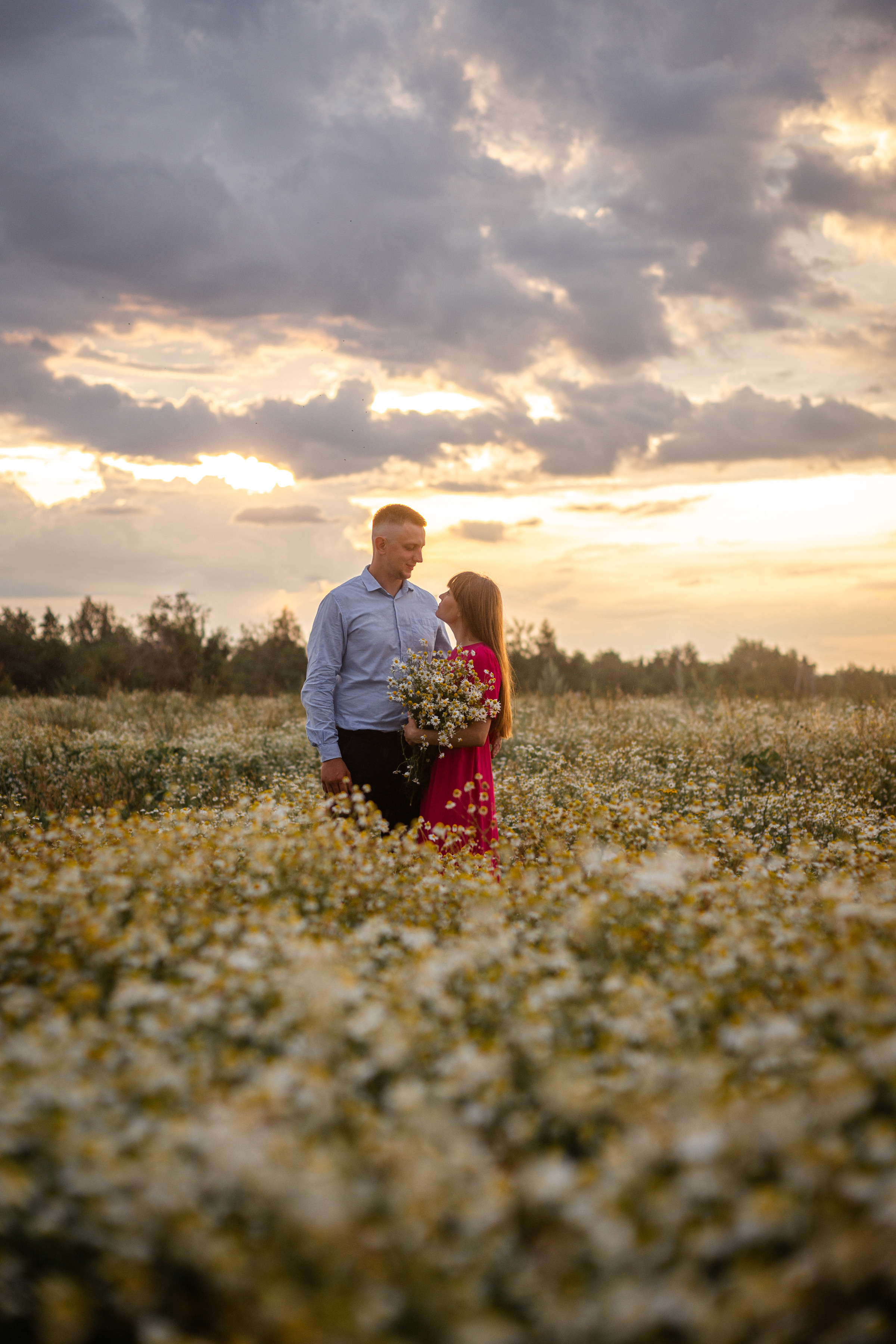 Лидия и Александр в поле ромашек. Ольга Плаксина фотограф в Саратове