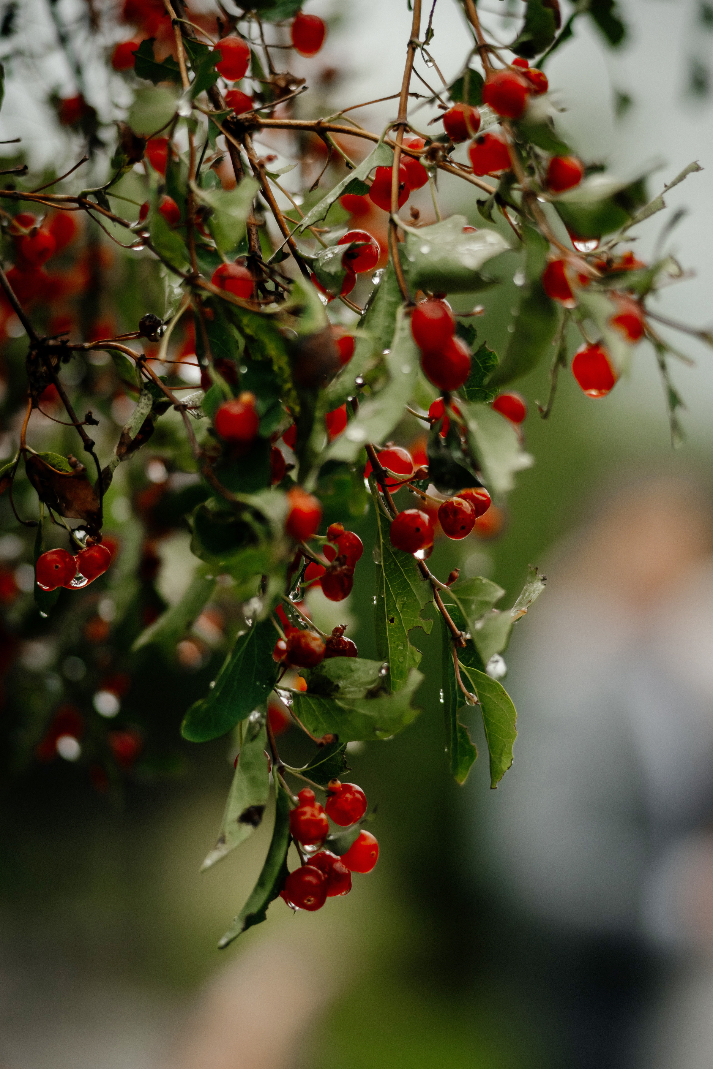 Ирина и Александр. Ольга Плаксина фотограф в Саратове