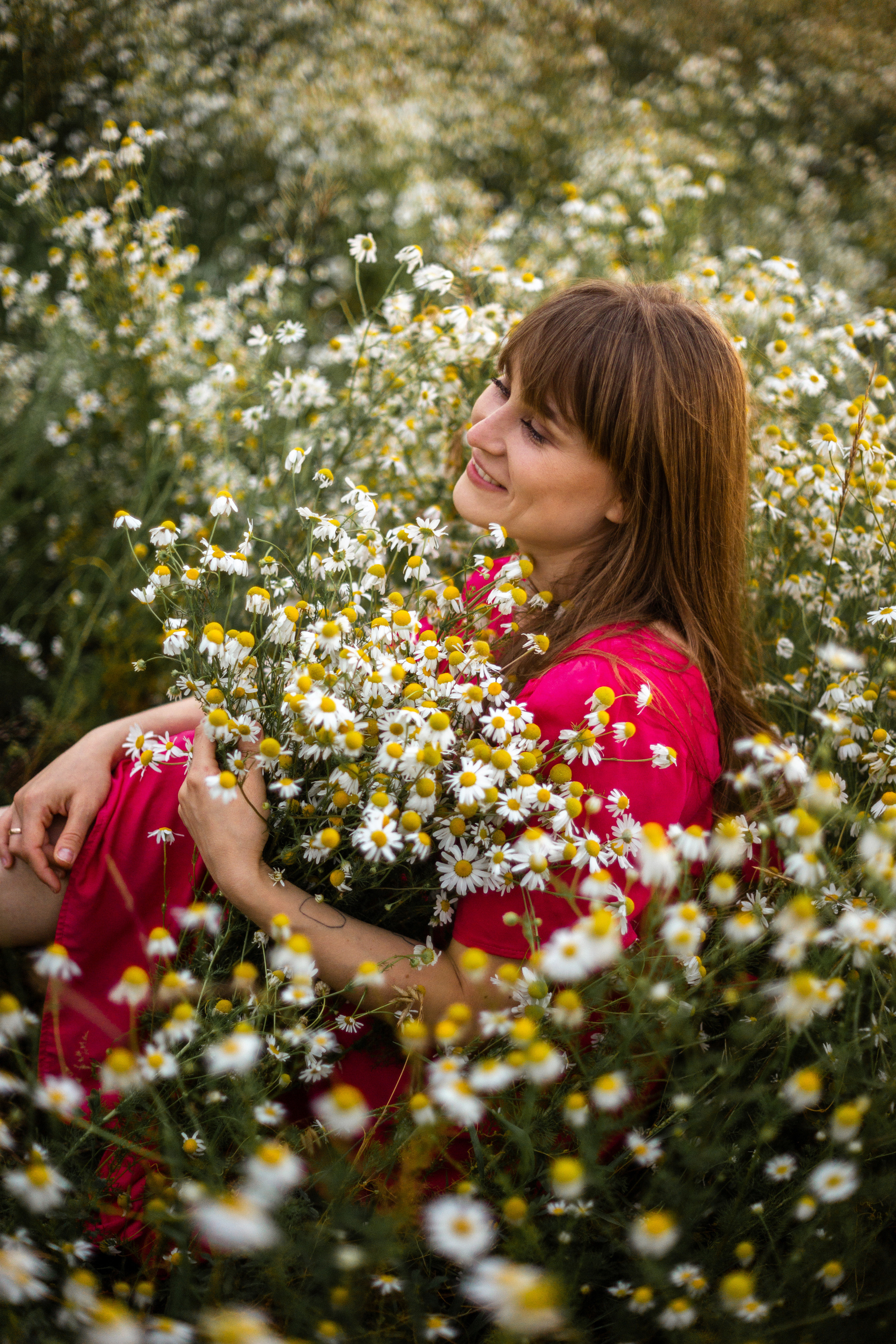 Лидия и Александр в поле ромашек. Ольга Плаксина фотограф в Саратове
