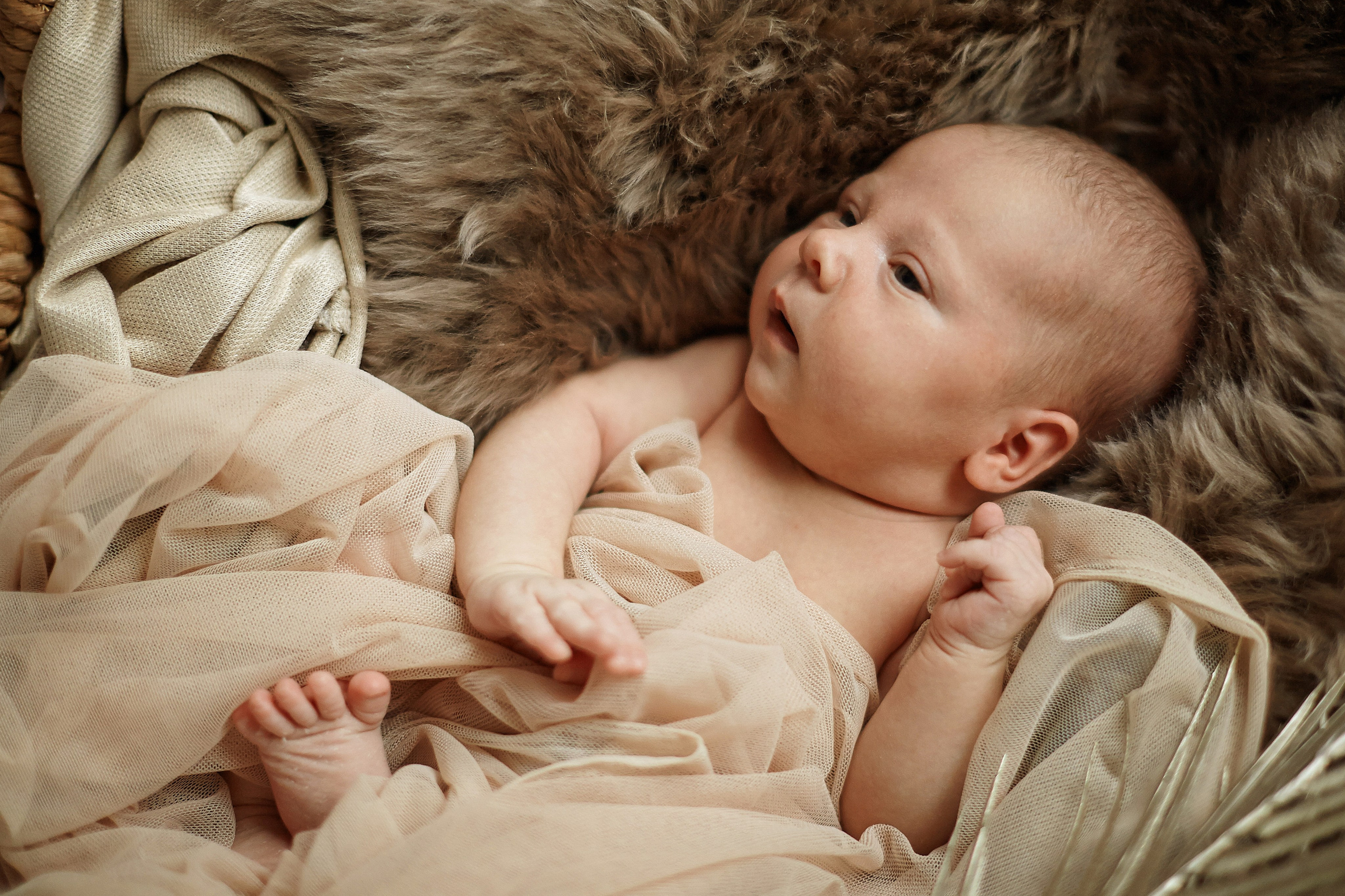 Есения. Фотограф Ольга Ефремова