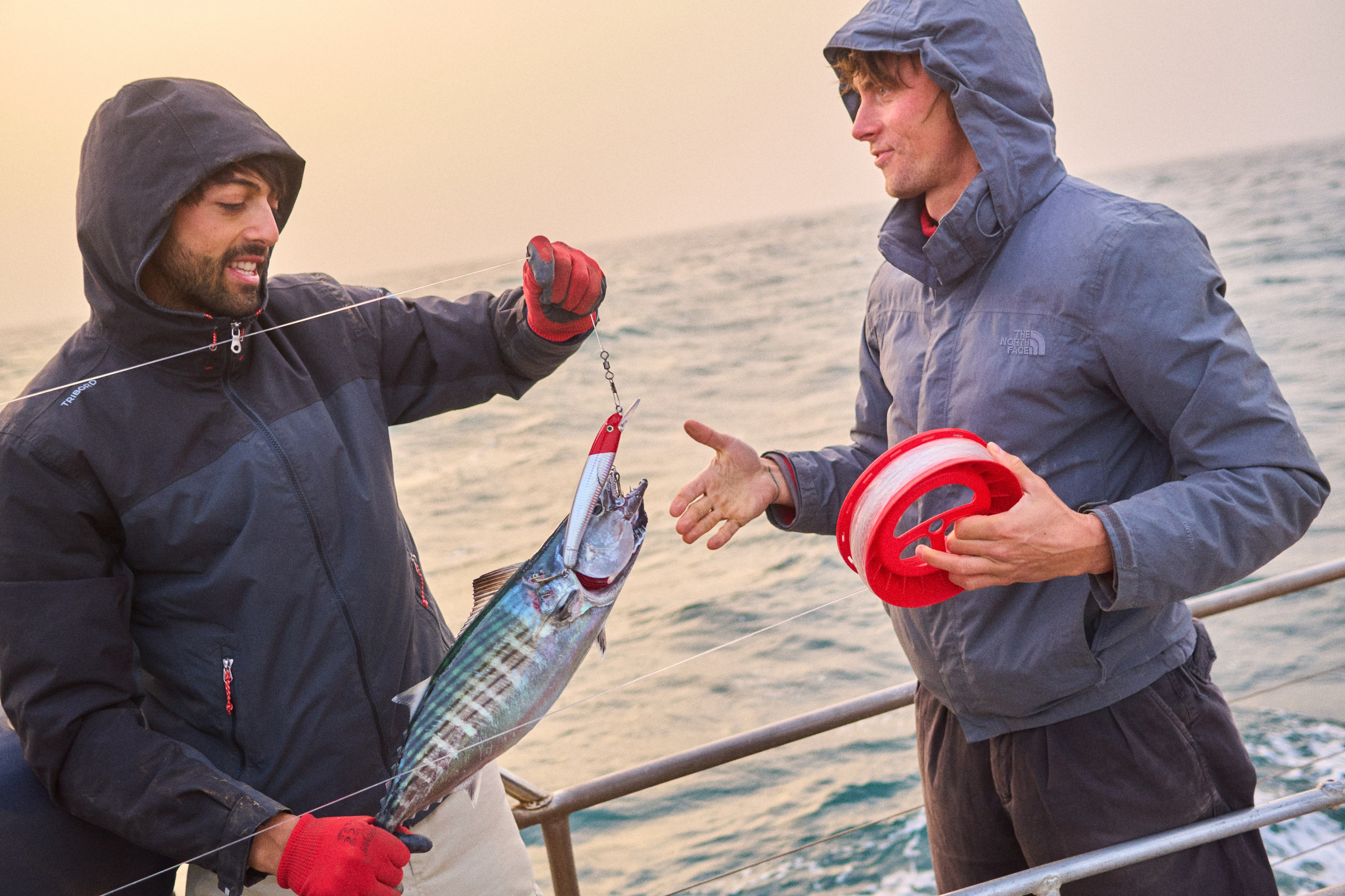 Morocco-Gambia. See the moment and catche. commercial and reportage