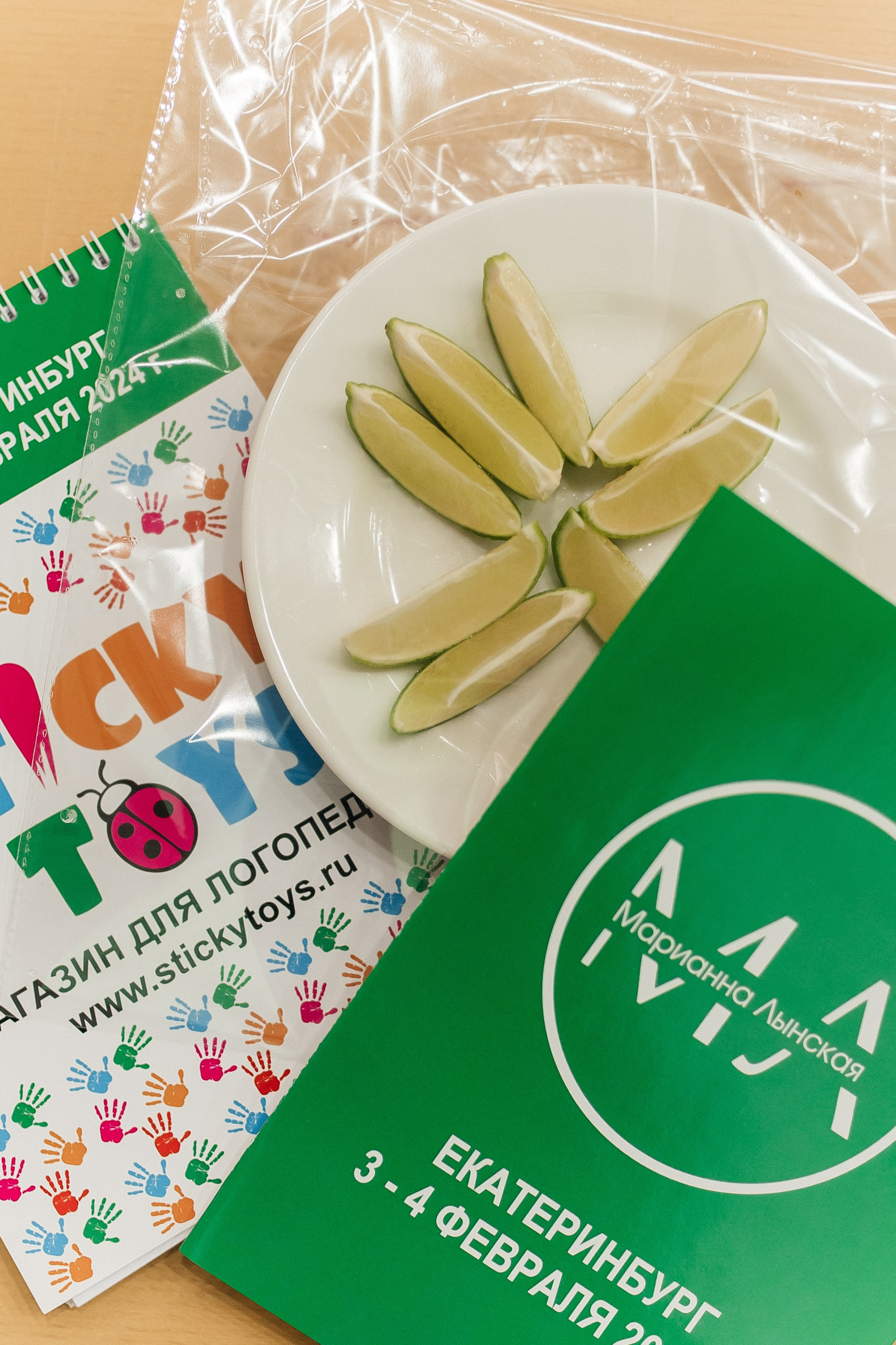 Семинар логопедов 2024. Свадебный и портретный фотограф Алина Иванова. Екатеринбург-Москва