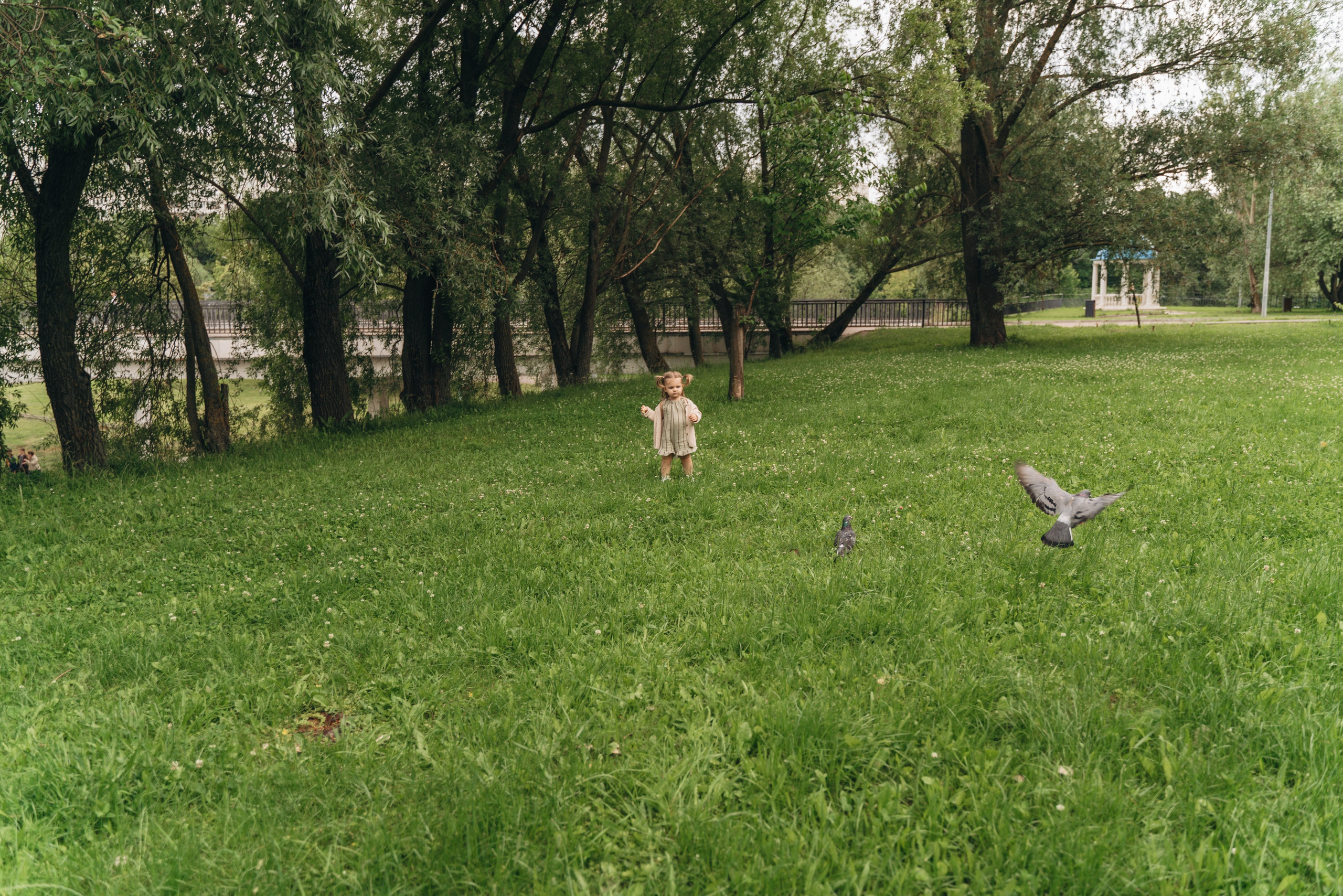 НЕЖНЕЕ НЕЖНОГО. FotoTanya. Раменское/Жуковский/Бронницы