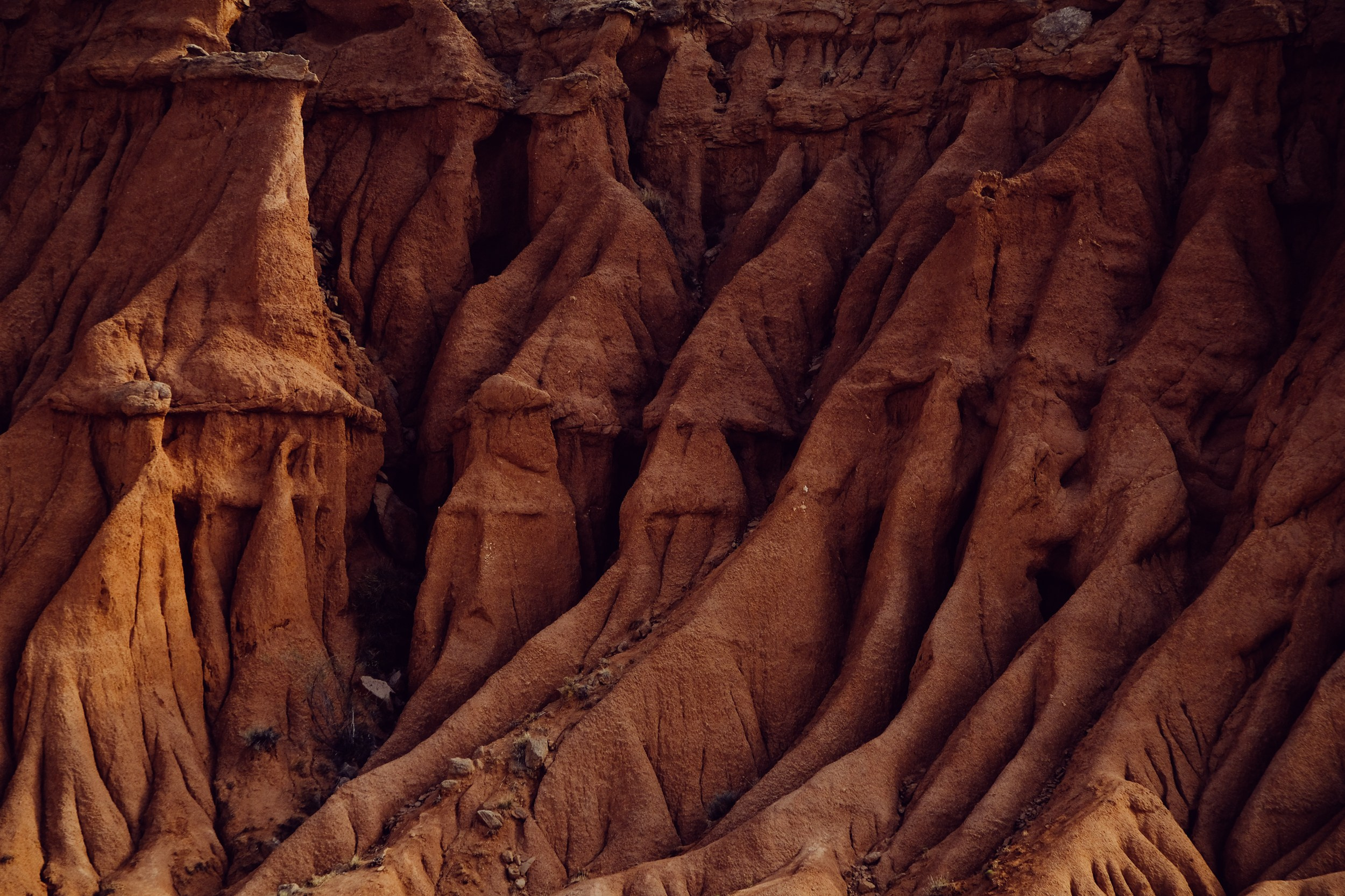 Кыргызстан. Фотограф Дмитрий Олрайт | Калуга, Россия