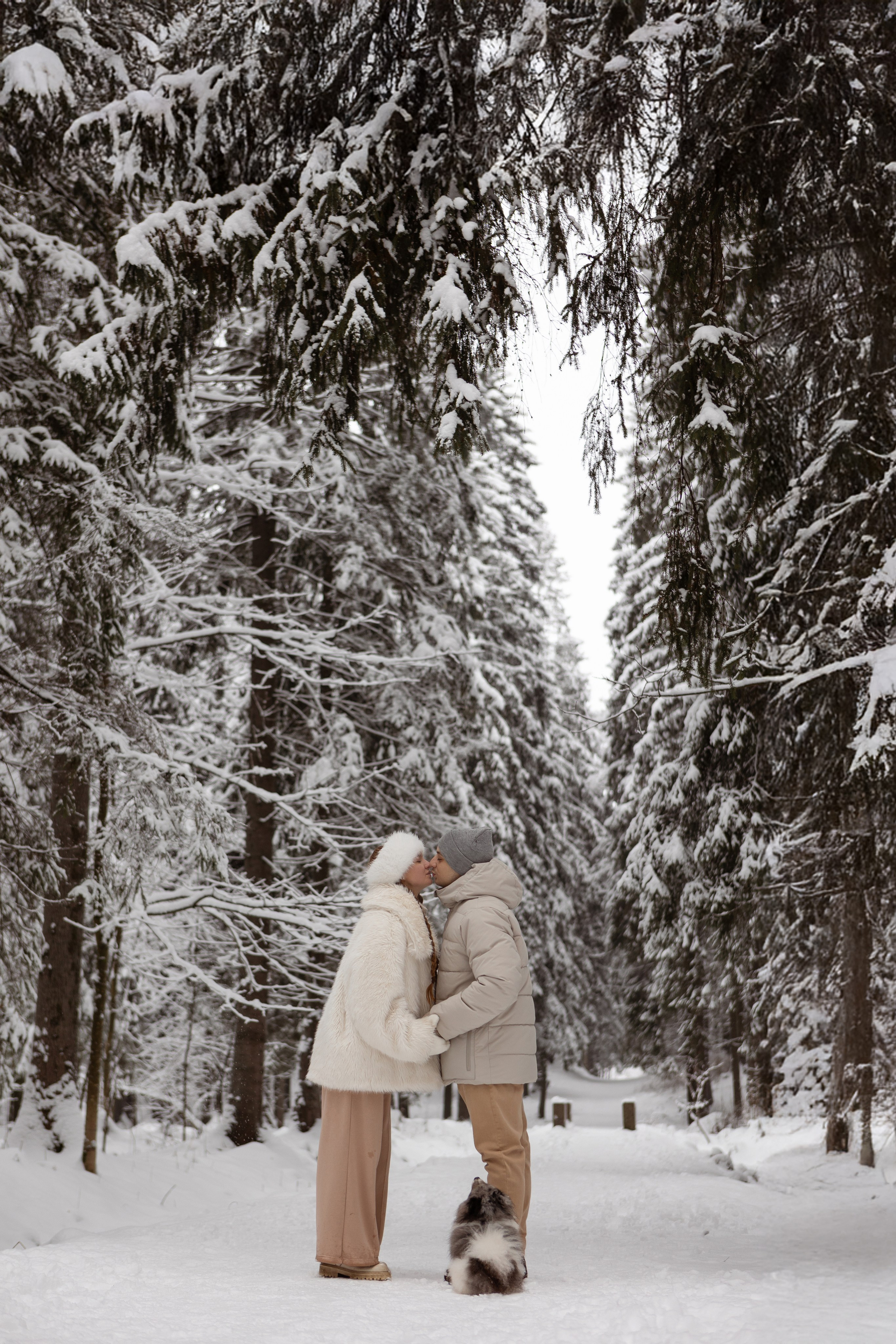 Новогодняя фотосессия с собачками в шуваловском парке. Свадебный фотограф в СПБ | Санкт-Петербурге Анастасия Рахимгулова