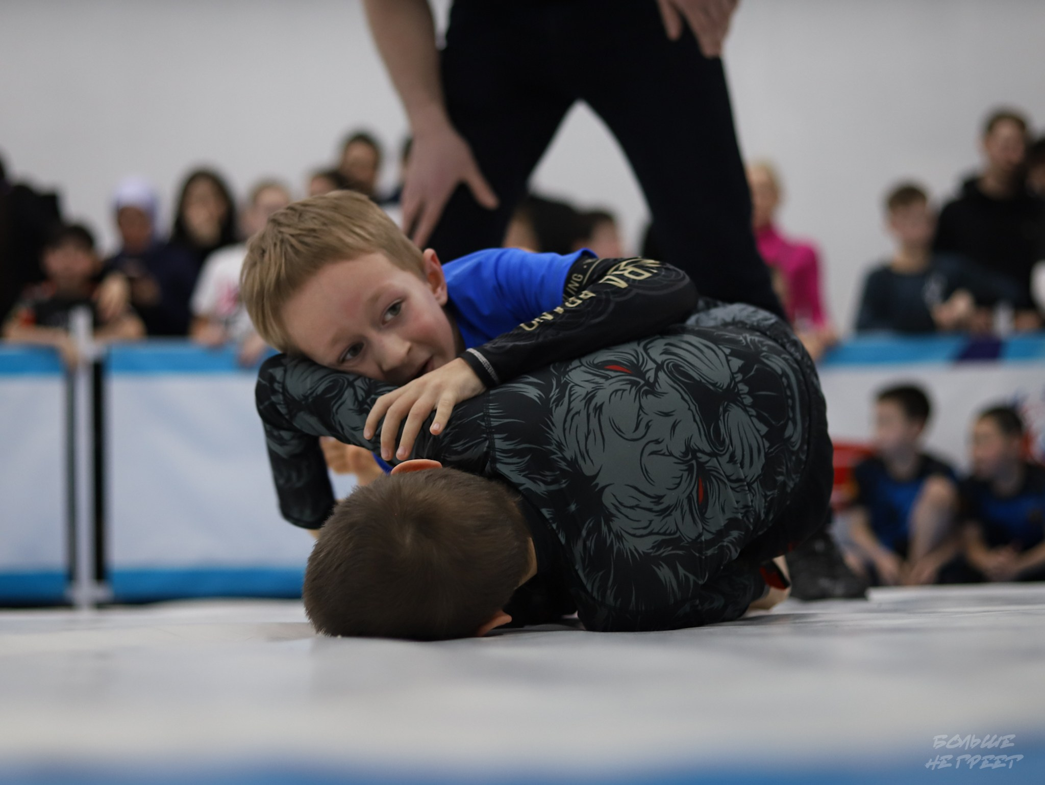 GORILLA PRIDE CUP. Больше не греет