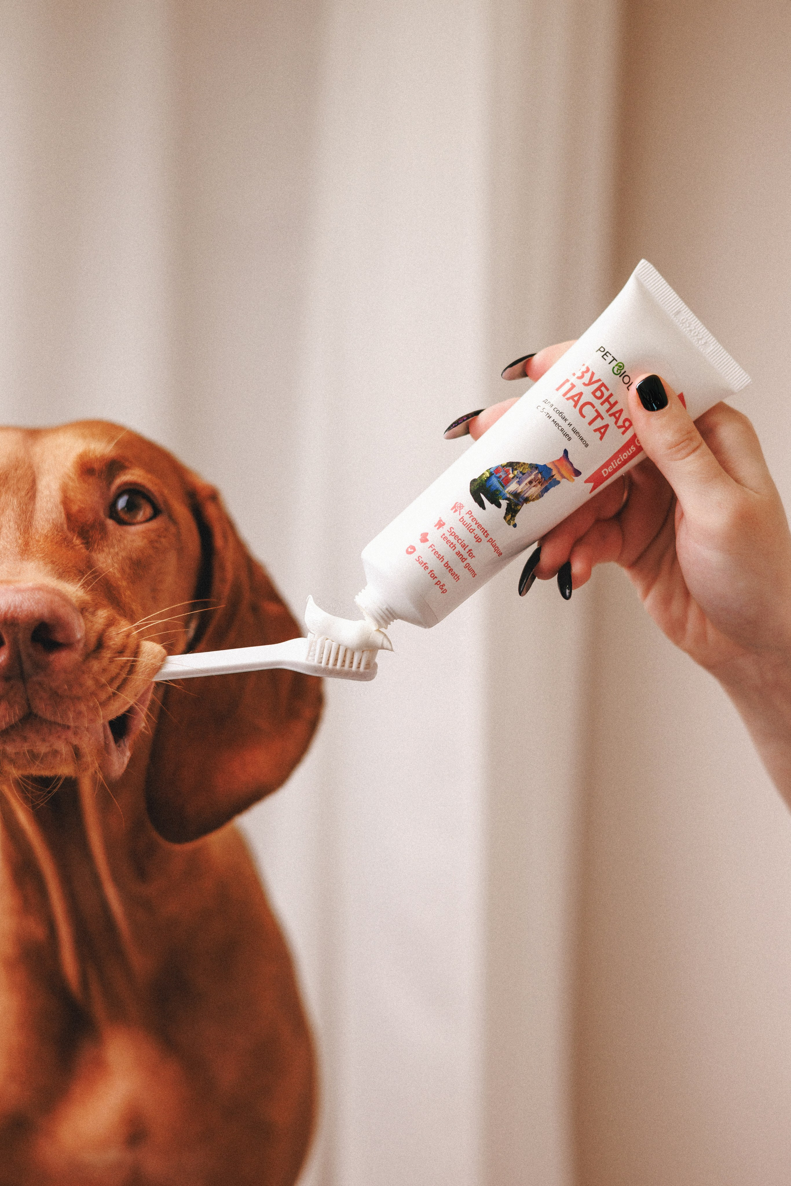 Товары для питомцев M-Pets & Petbiology. Фотограф анималист Осипчикова Мария