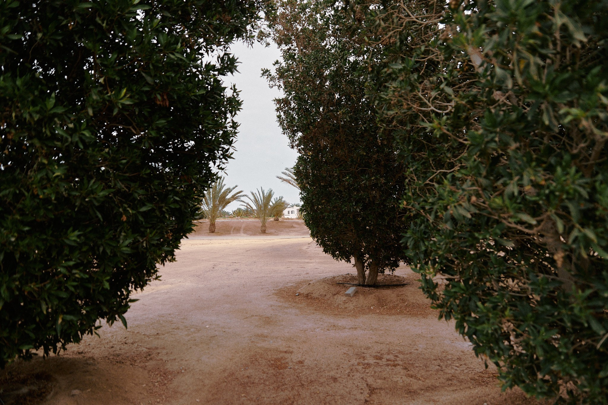 Улица горизонтальная. Jorgis — фотограф в Хургаде / обучение фотографии